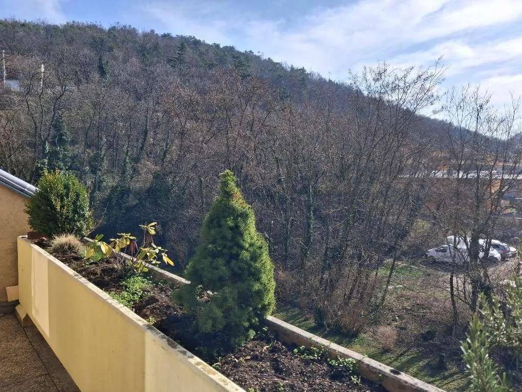 Weitblick von einem Balkon mit Pflanzen auf eine bewaldete Hügellandschaft unter strahlend blauem Himmel.