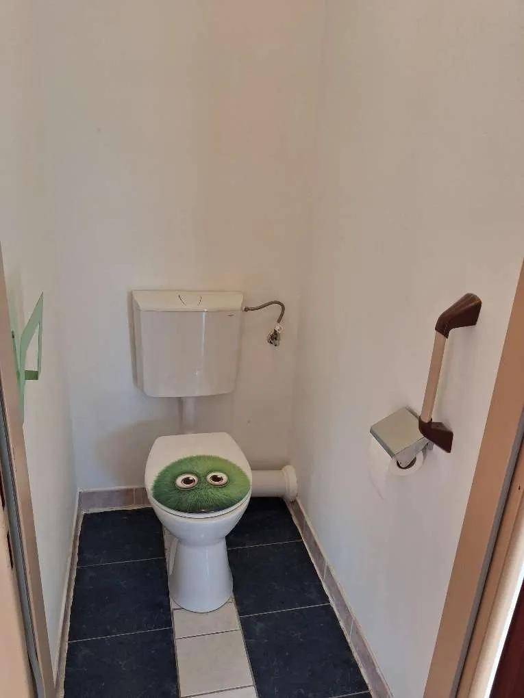 Separates WC mit dunklen und hellen Fliesen sowie einer auffälligen Toilettenbrille.
