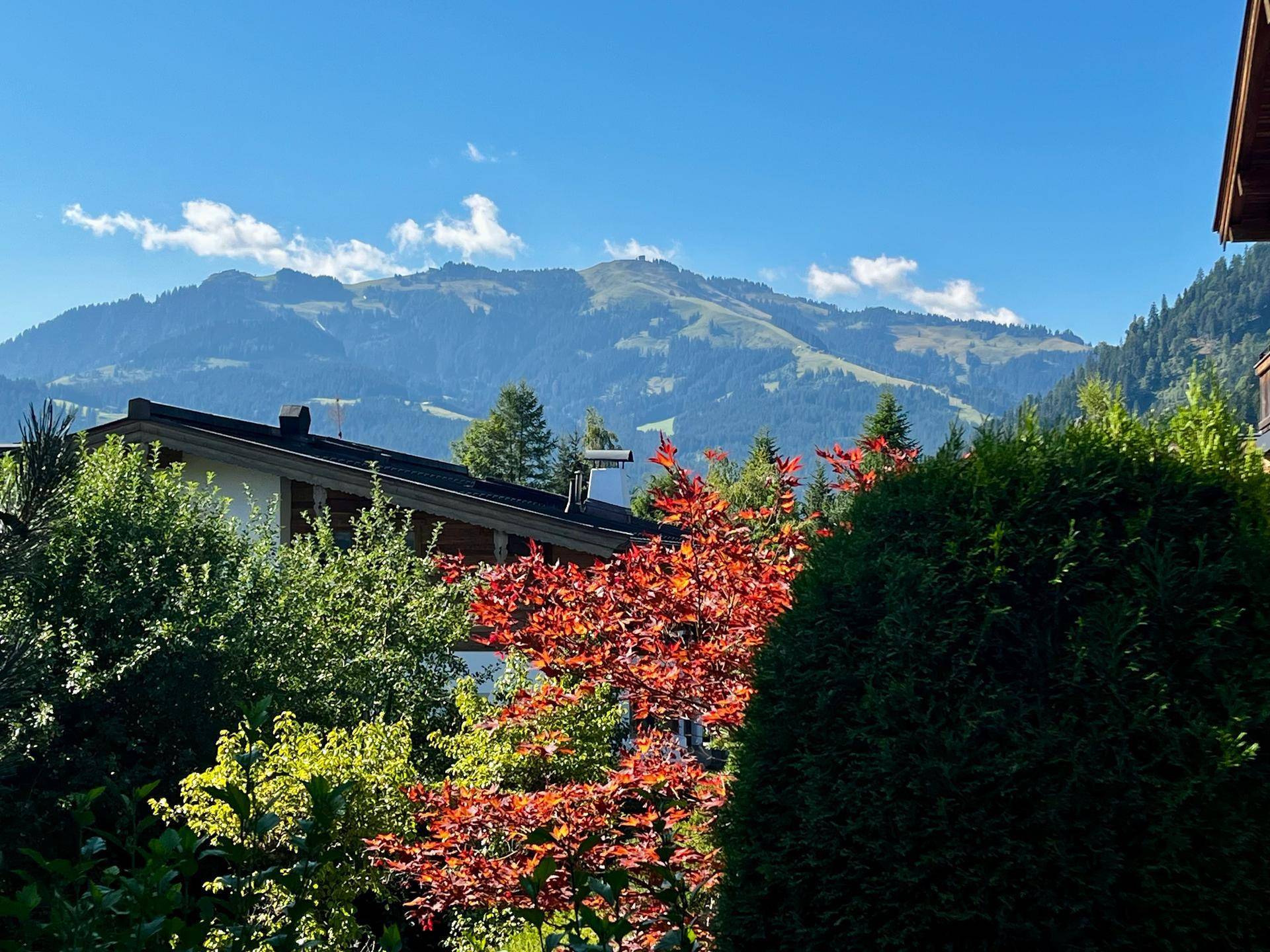 Panoramablick auf sanfte grüne Hügel und majestätische Berge unter einem klaren blauen Himmel.