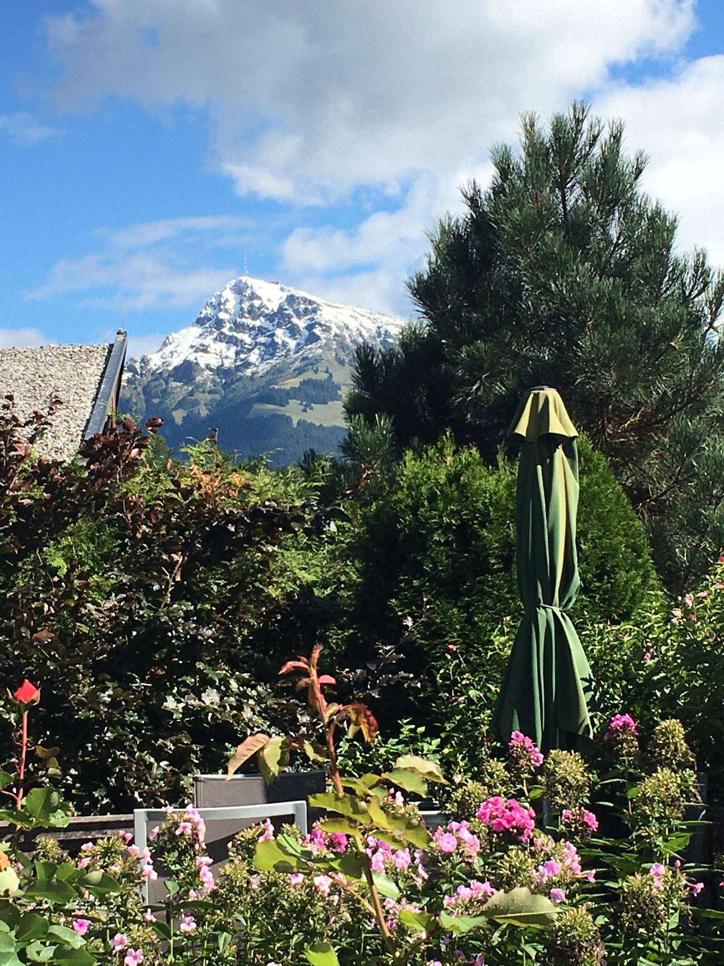 Blühender Garten mit einem geschlossenen Sonnenschirm und einem majestätischen schneebedeckten Berg im Hintergrund.