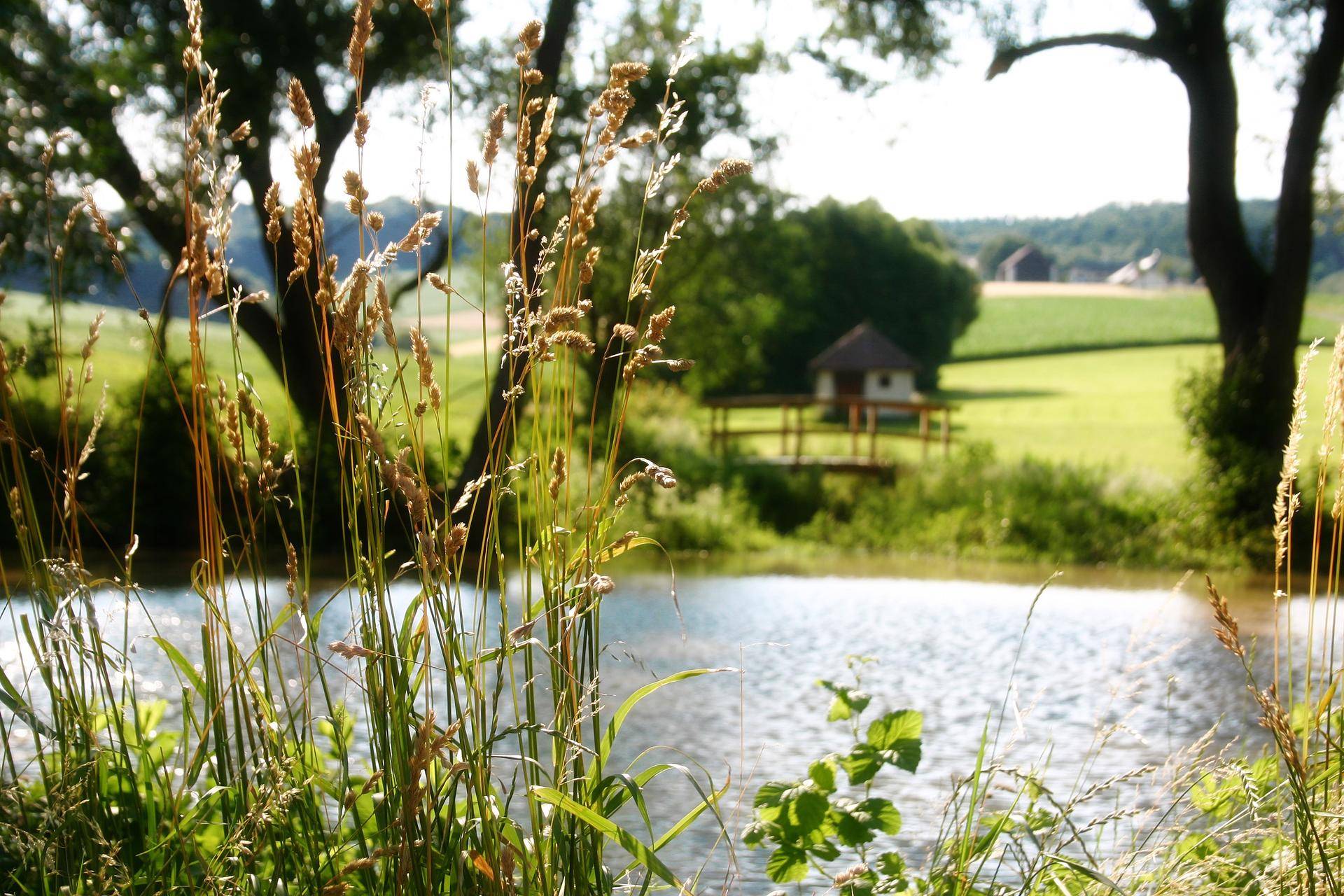 Golfplatz