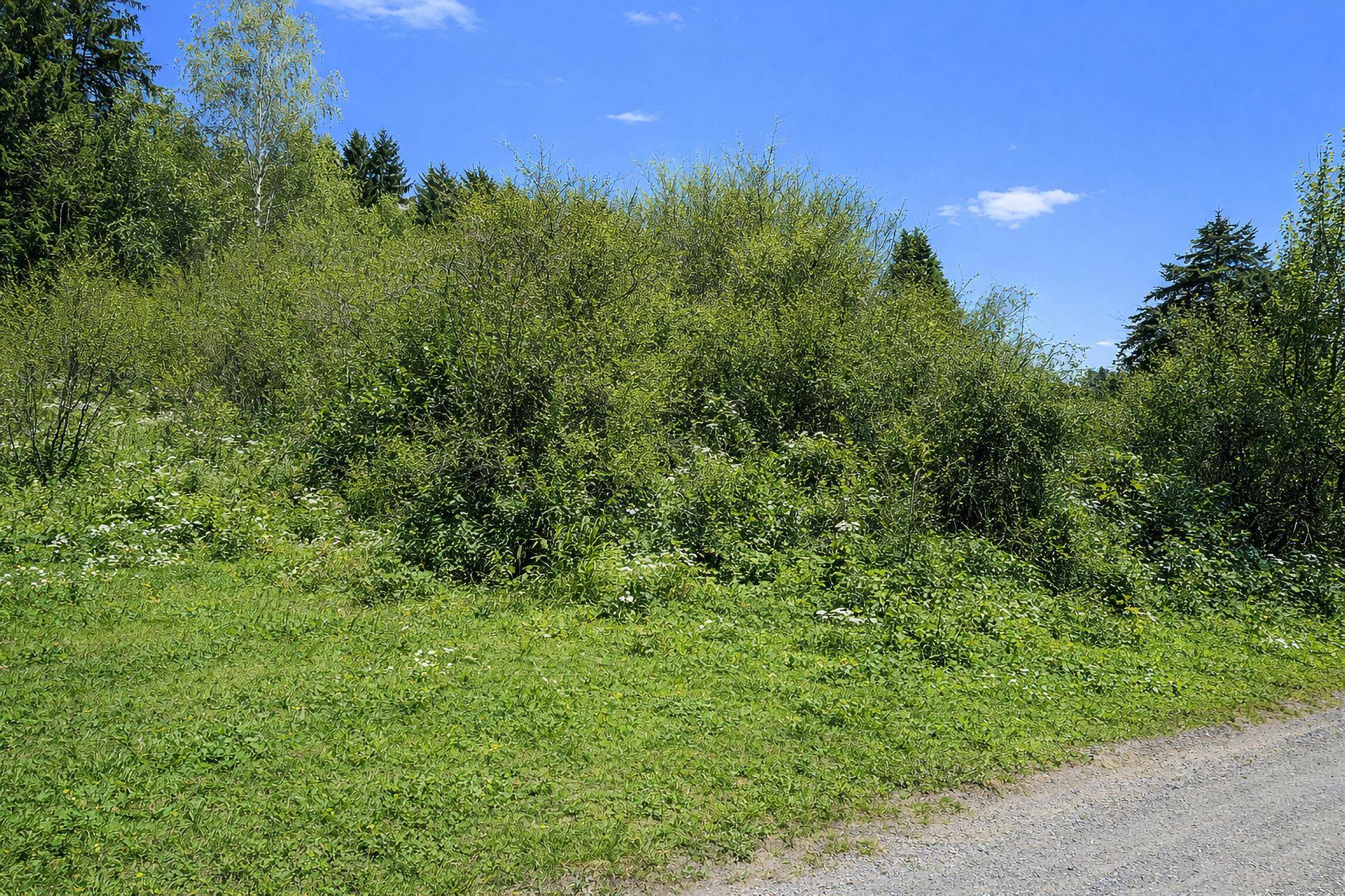 Grünes Grundstück mit üppiger Vegetation, Sträuchern und Bäumen unter klarem Himmel.