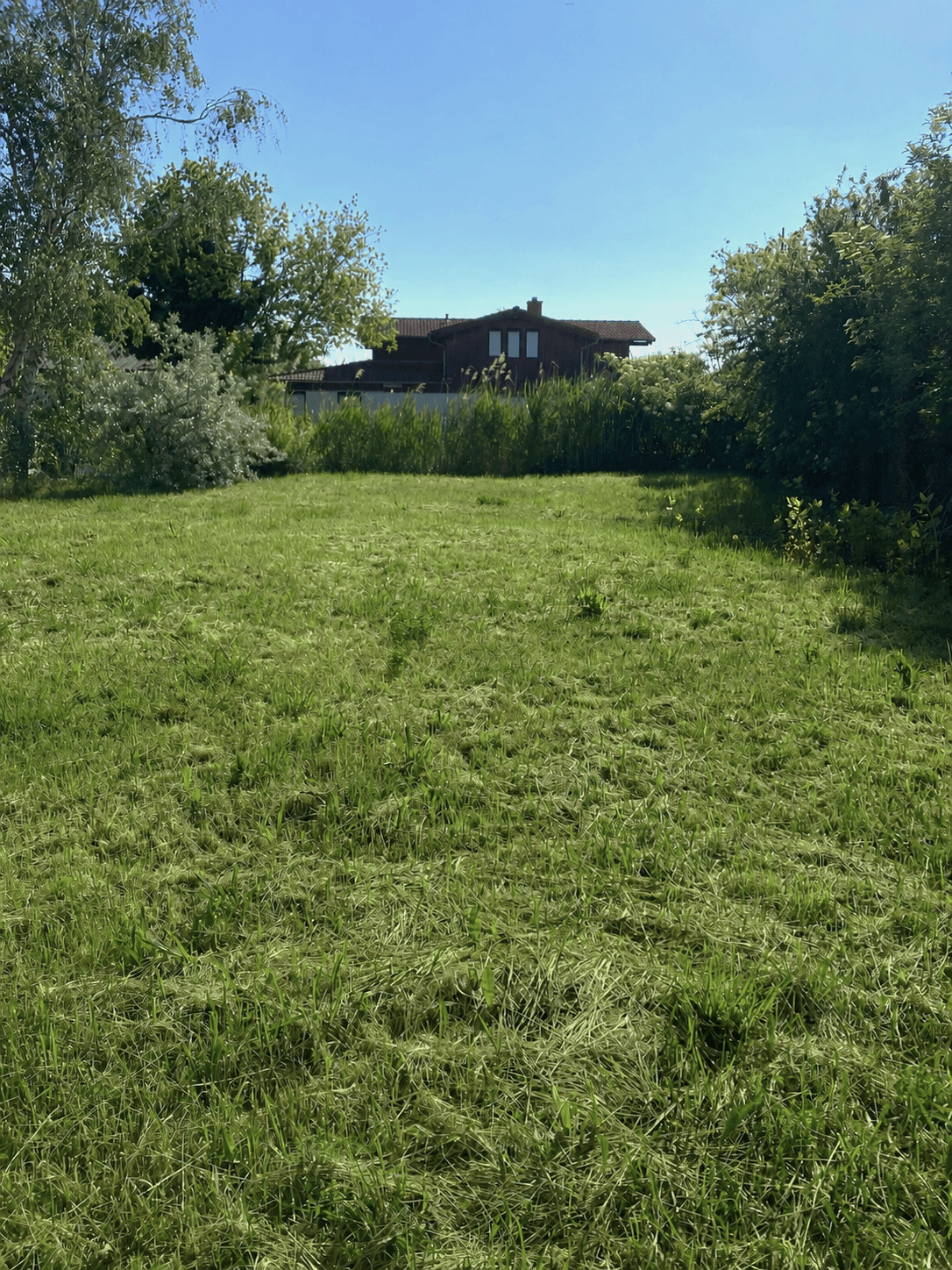 Weitläufige Rasenfläche mit frisch gemähtem Gras und einem Gebäude im Hintergrund unter blauem Himmel.