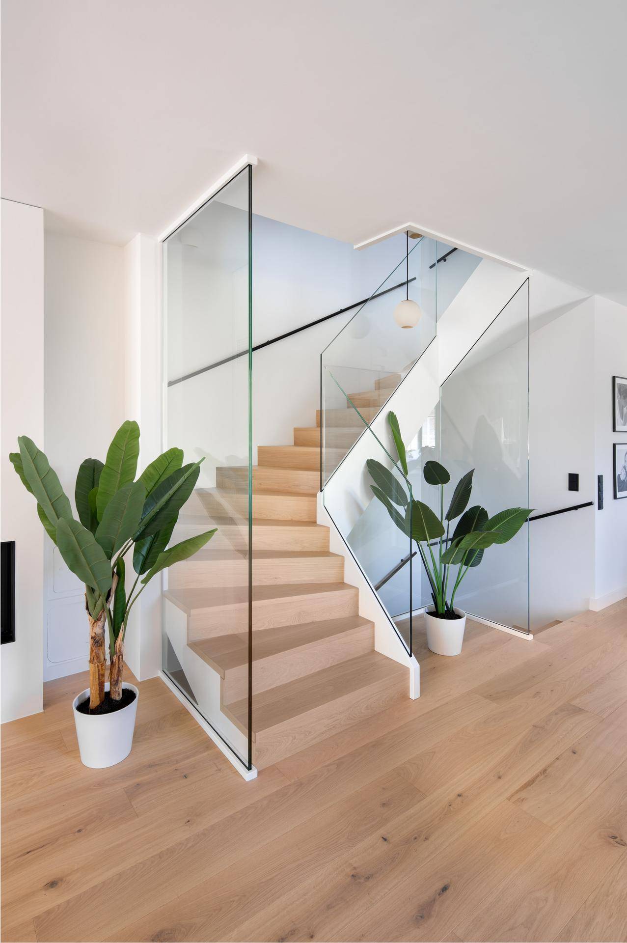 Heller Eingangsbereich mit moderner Holztreppe, Glasgeländer und dekorativen Pflanzen.