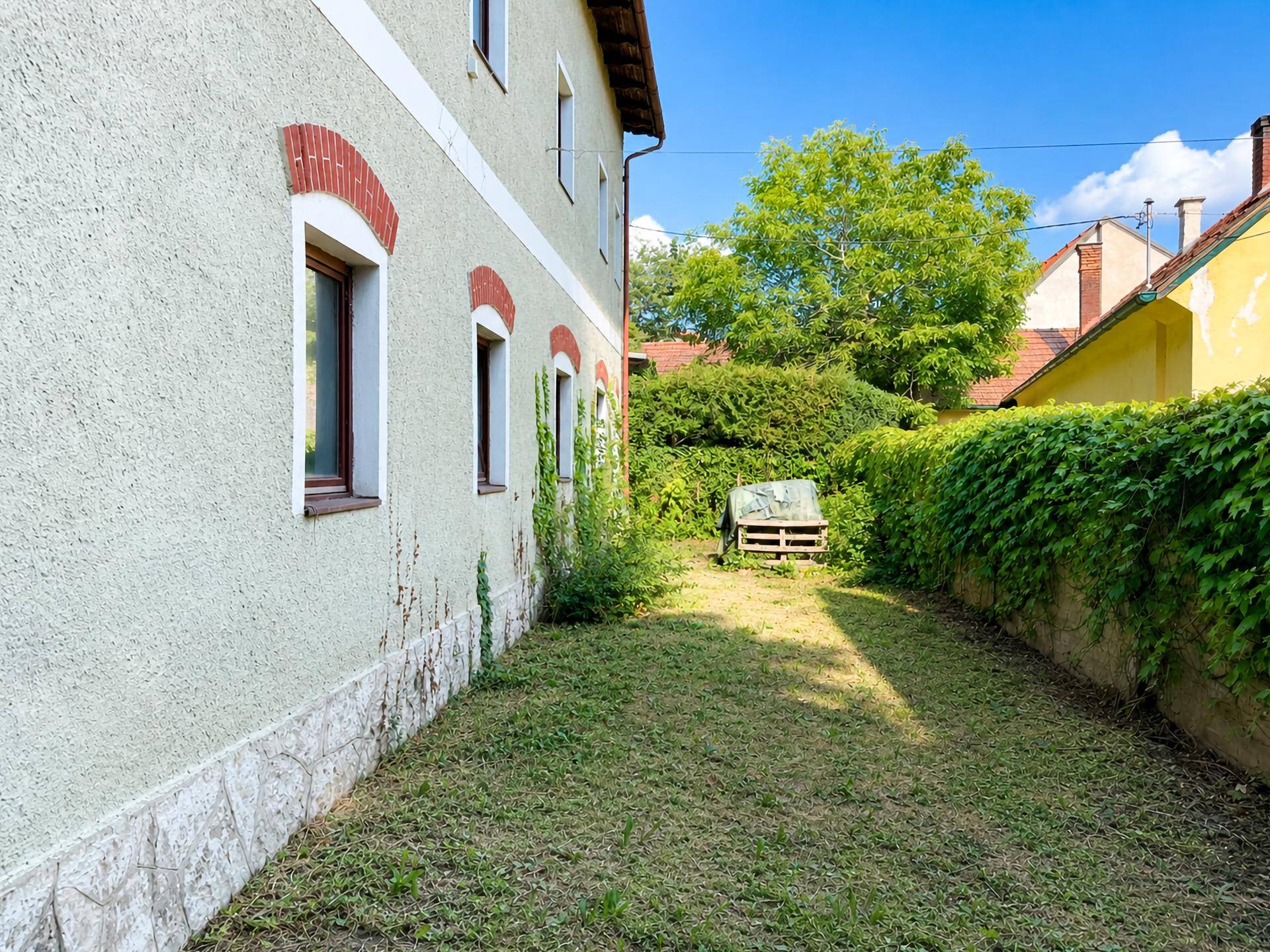 Schmaler Gartenstreifen entlang der Hauswand mit Kletterpflanzen und einem Holzstapel.