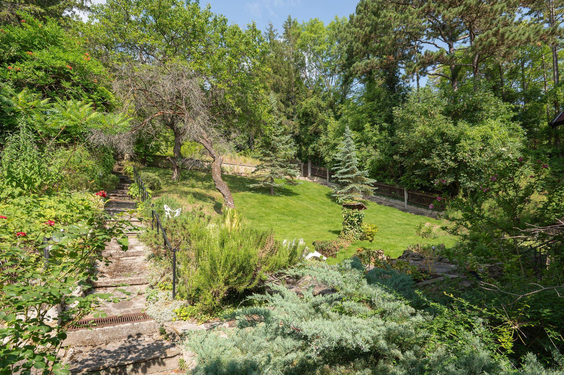 Terrassierter Garten mit Steintreppen, Rasenflächen und vielfältiger Bepflanzung.