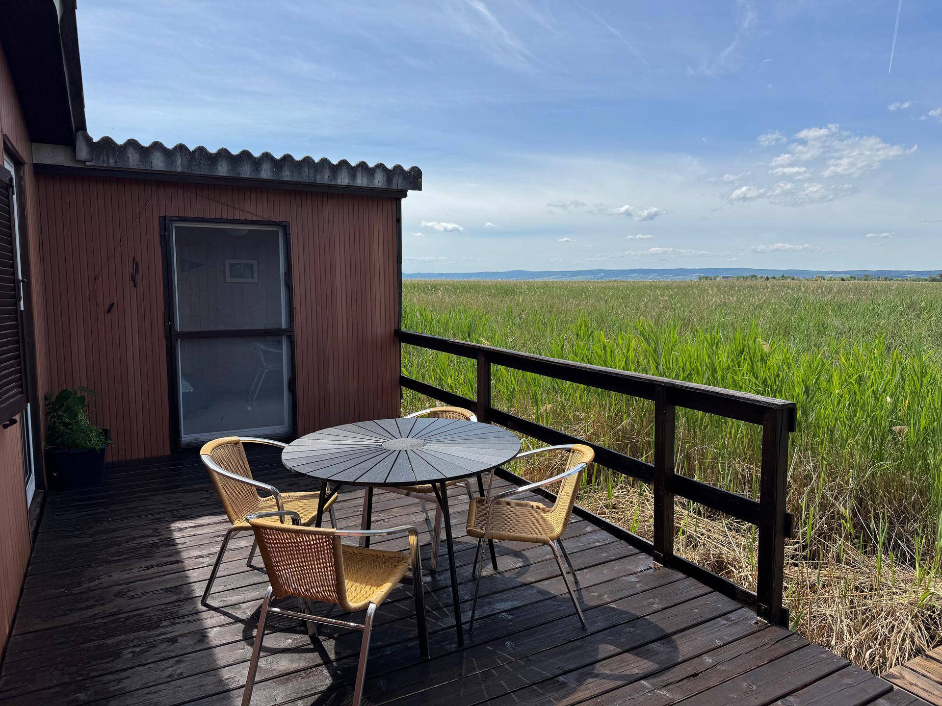 Sonniger Terrassenbereich mit Esstisch und Stühlen, umgeben von weiten Schilffeldern.