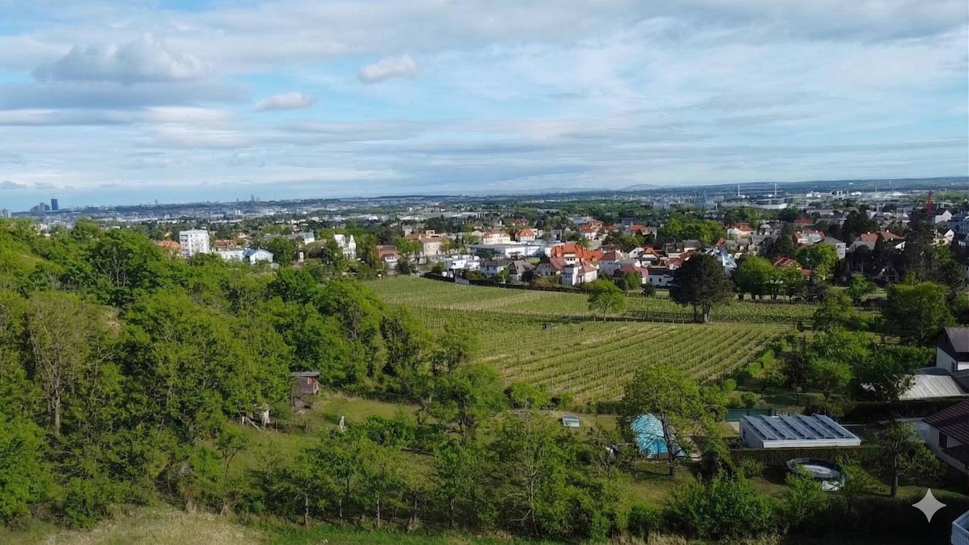 Panoramablick über die Stadt, Weinberge und die umliegende grüne Landschaft.