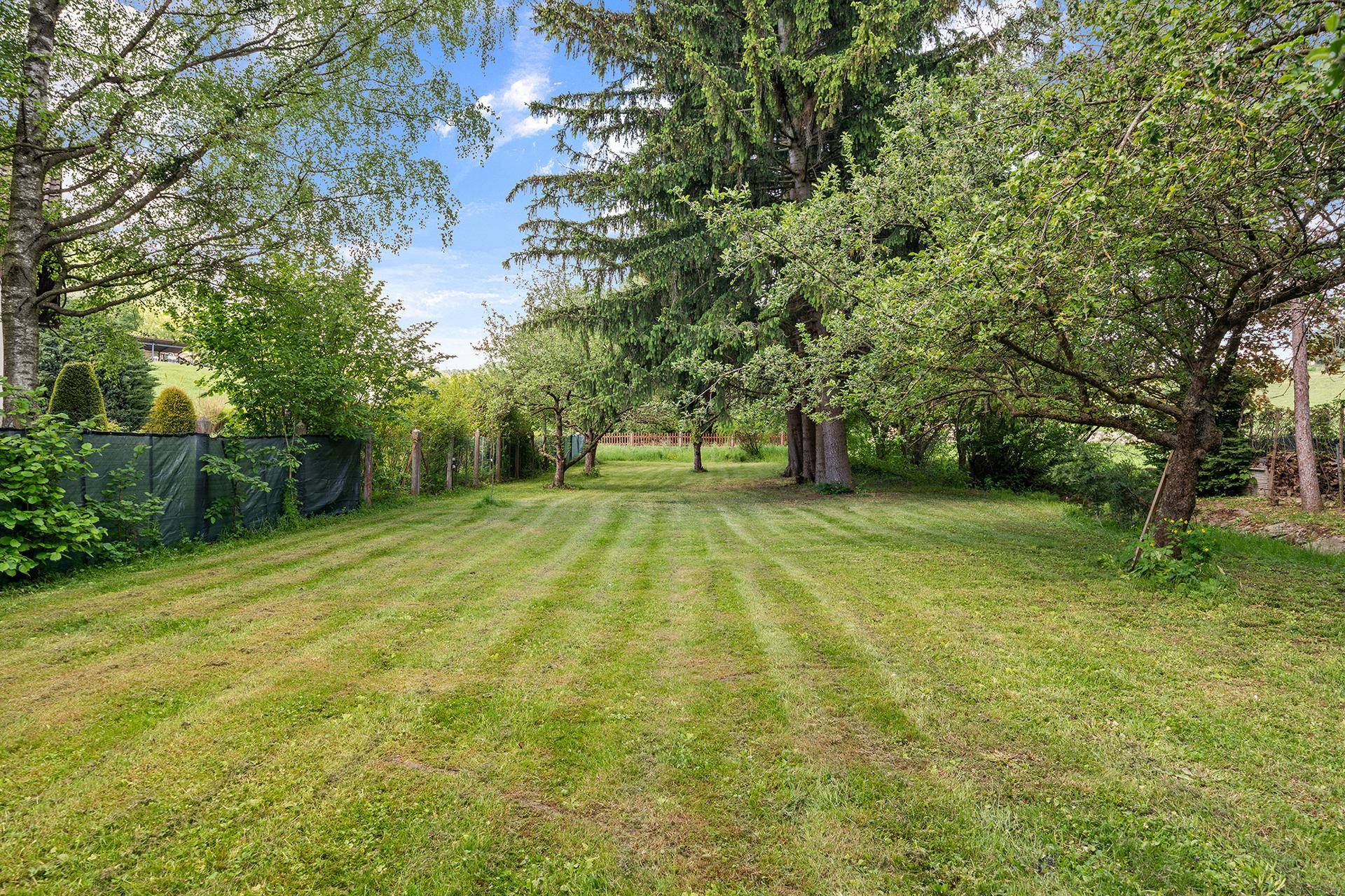 Weitläufiger Gartenbereich mit altem Baumbestand und einer gepflegten, großen Rasenfläche.