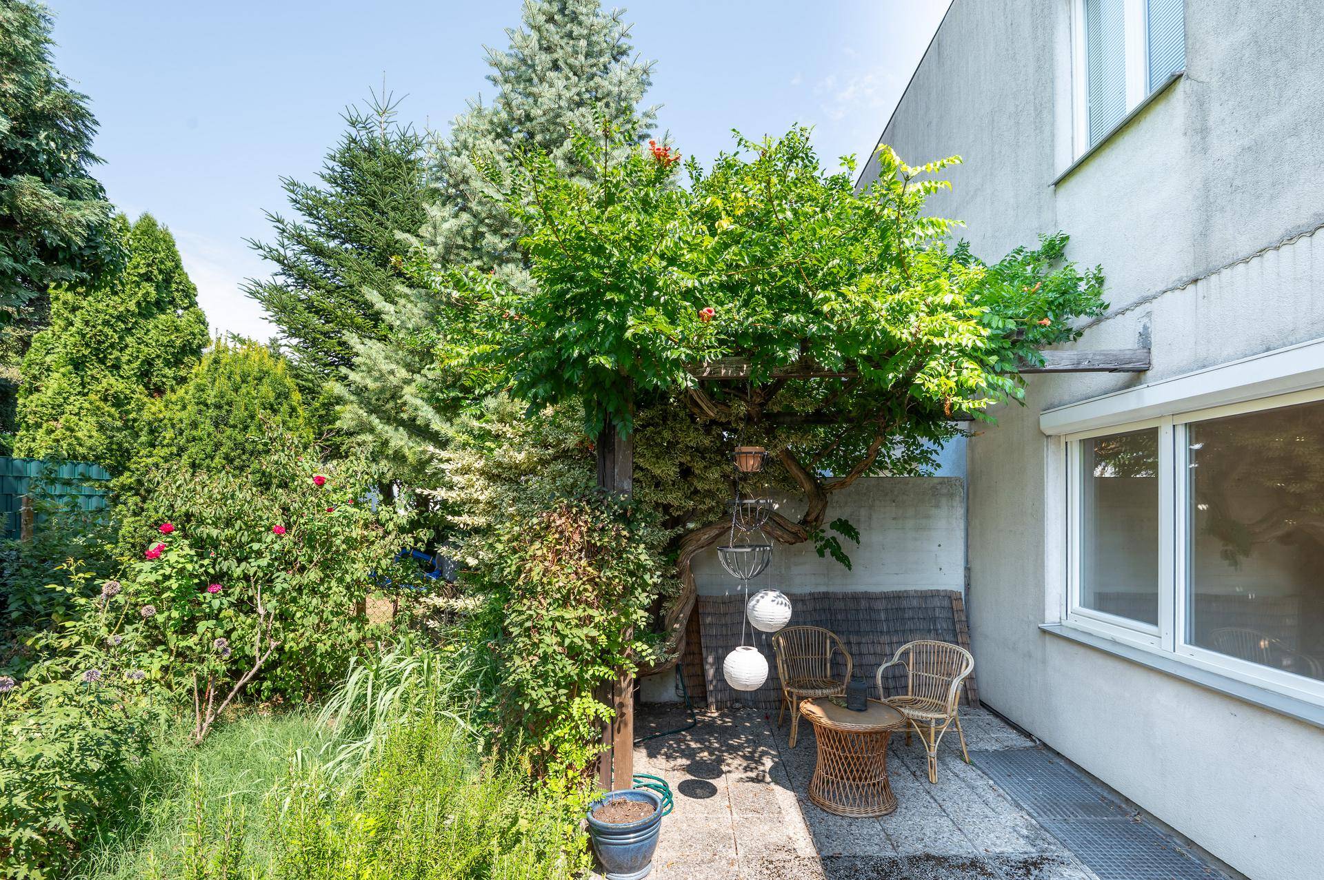 Haus – Mödling, Vorderbrühl - Ansicht 2