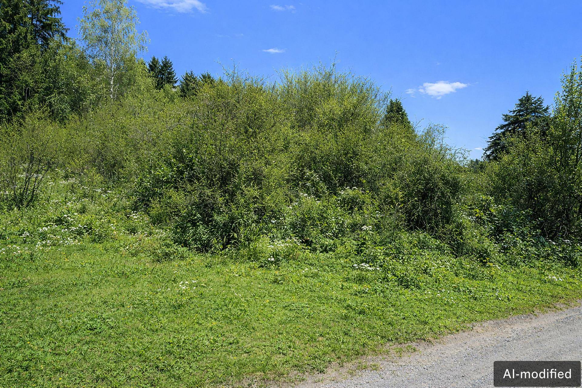 Dicht bewachsenes Grundstück mit üppigem Grün und einem Feldweg, umgeben von Wald und Natur.