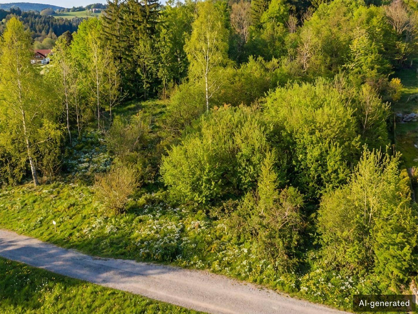 Luftaufnahme eines grünen Grundstücks mit dichtem Baumbestand und einem Feldweg, umgeben von Natur.