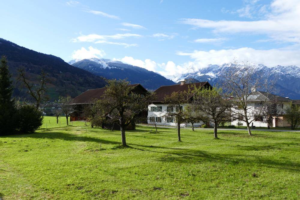 Ländliche Ansicht mit traditionellen Gebäuden, grünen Wiesen und schneebedeckten Bergen im Hintergrund.