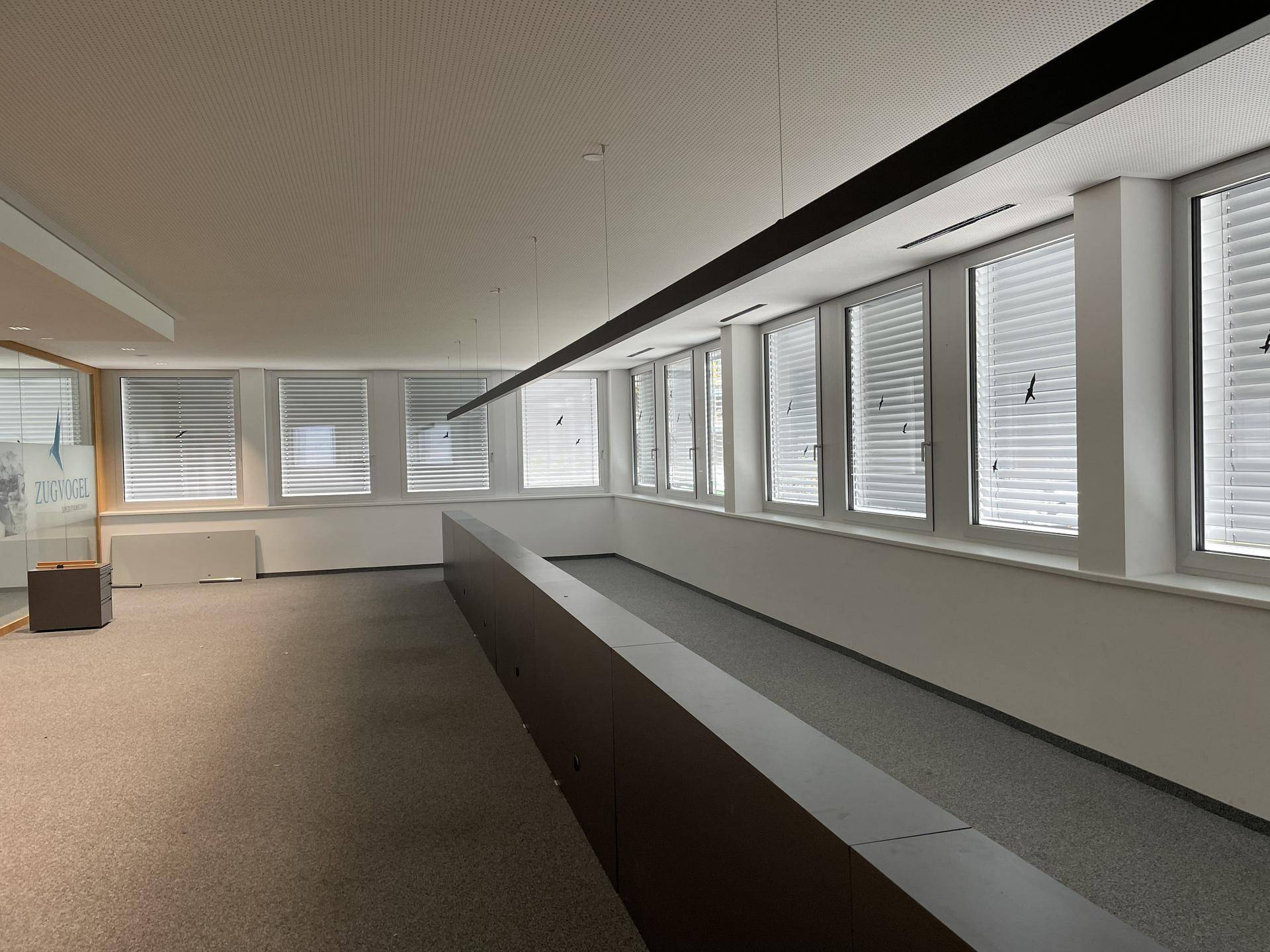 Geräumiger Büroraum mit grauem Teppichboden, langer Fensterfront mit Jalousien und moderner Deckenbeleuchtung.