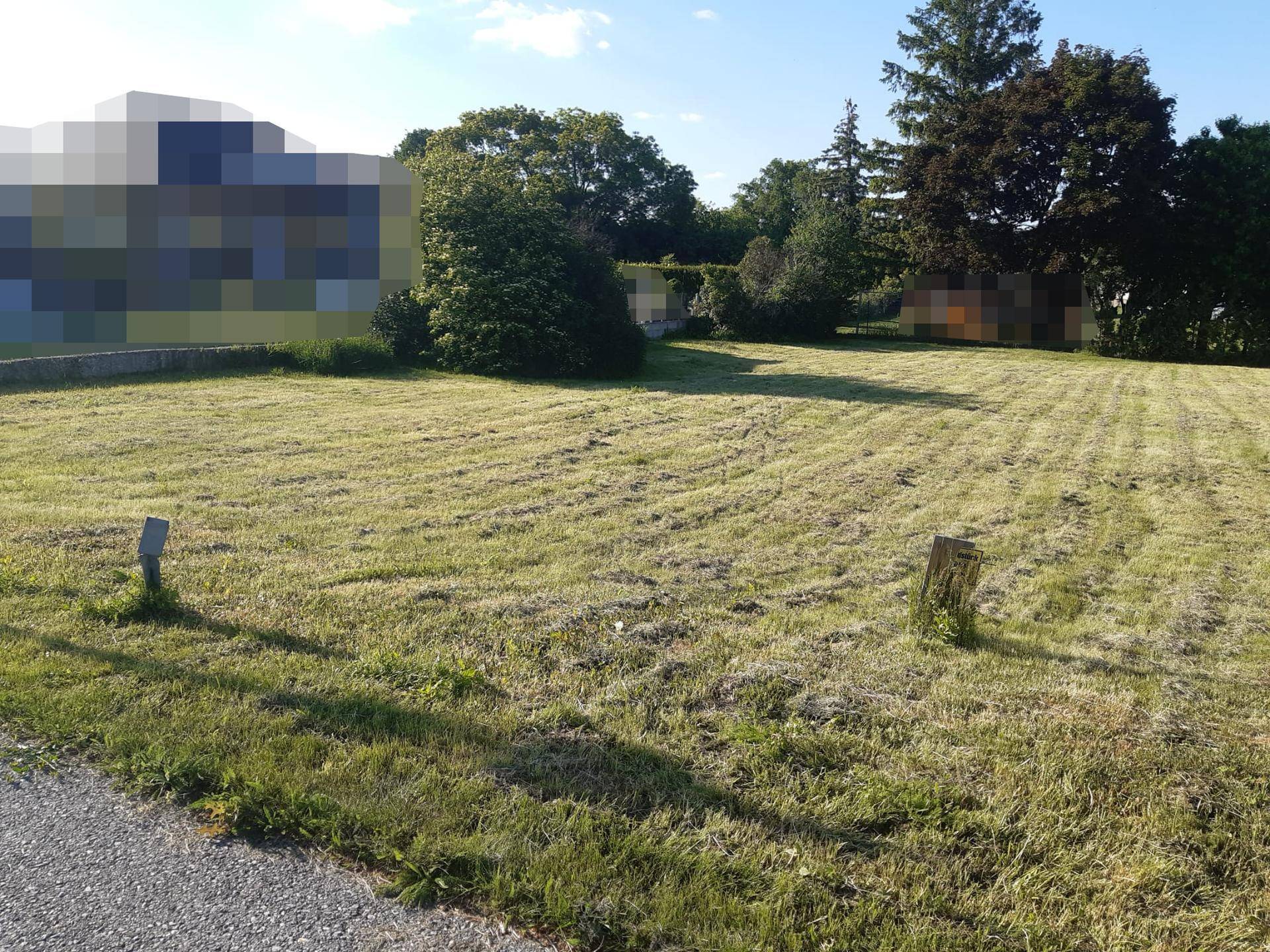 Weitläufige Grünfläche eines Grundstücks mit angrenzender Straße und Baumbestand.
