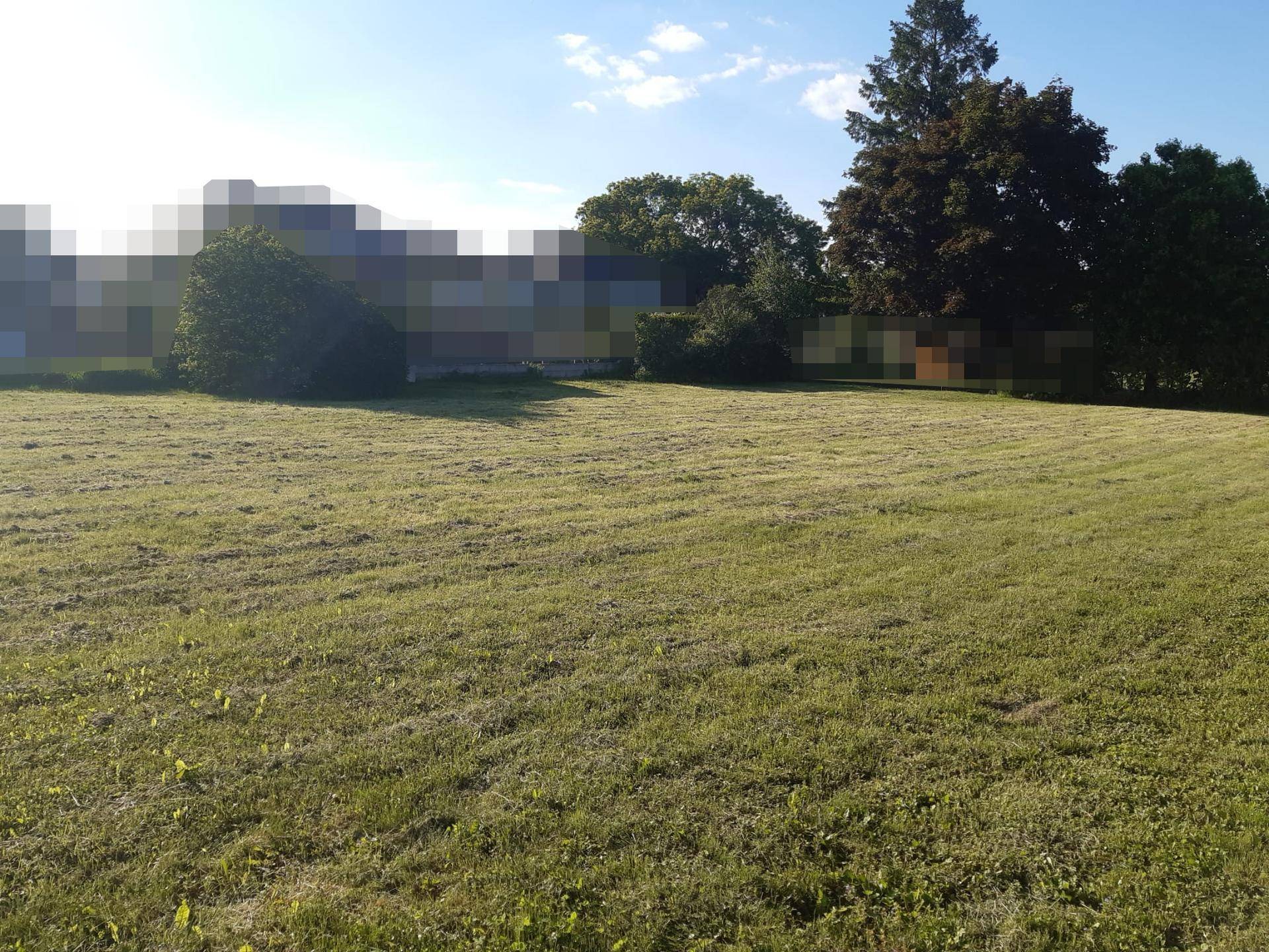 Sonniger Blick über eine große, gemähte Rasenfläche mit Bäumen im Hintergrund.