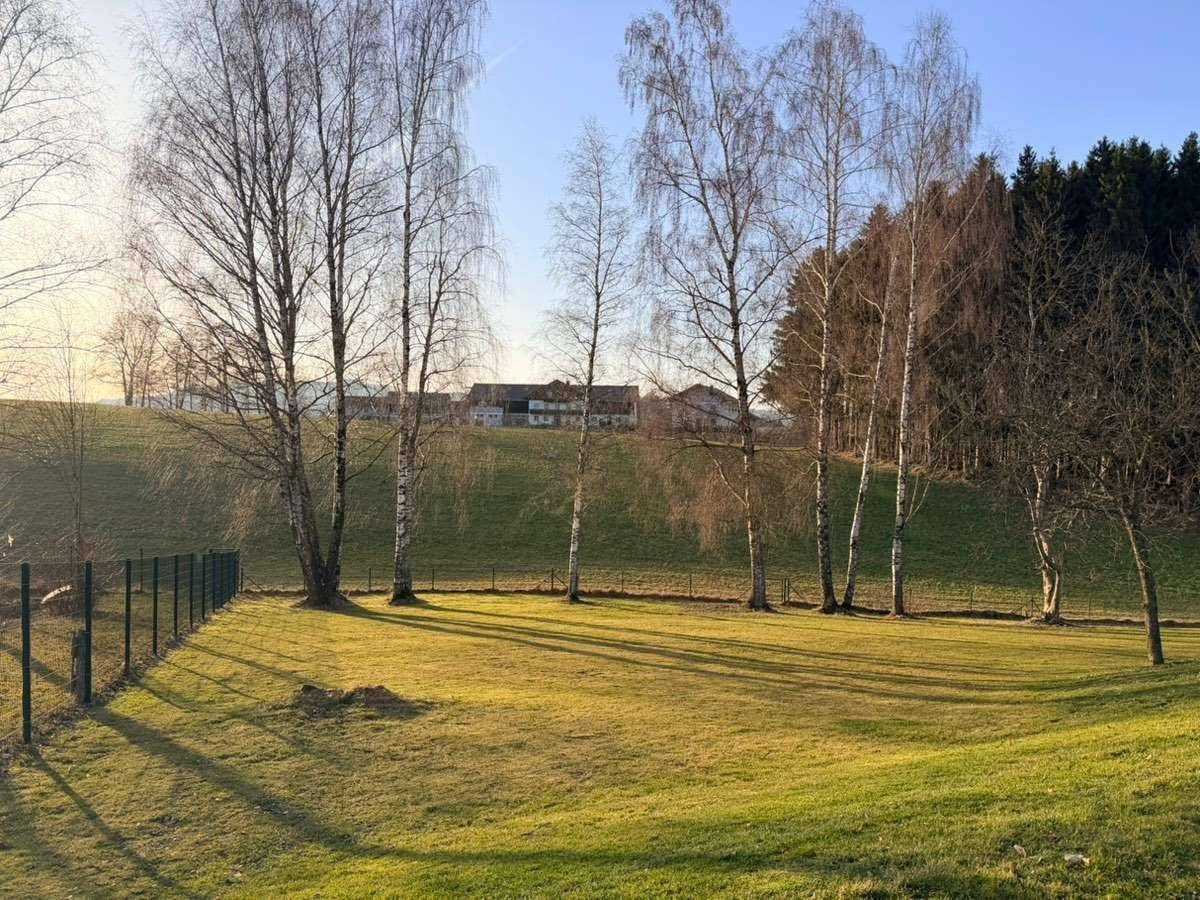 Sonniges Baugrundstück Obertrum am See | 495 €/ m² | absolute Seltenheit | flexibel teilbar - Ansicht 2
