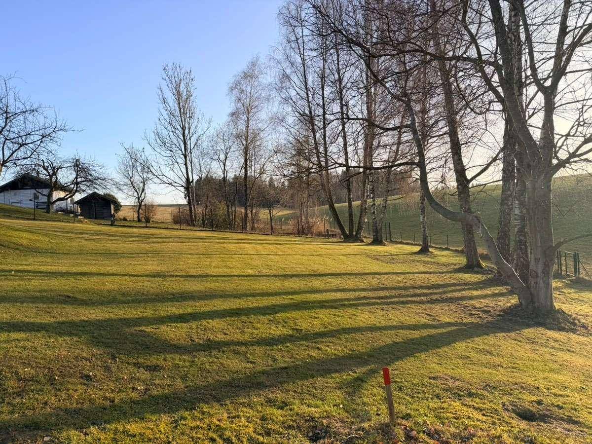 Sonniges Baugrundstück Obertrum am See | 495 €/ m² | absolute Seltenheit | flexibel teilbar - Ansicht 3