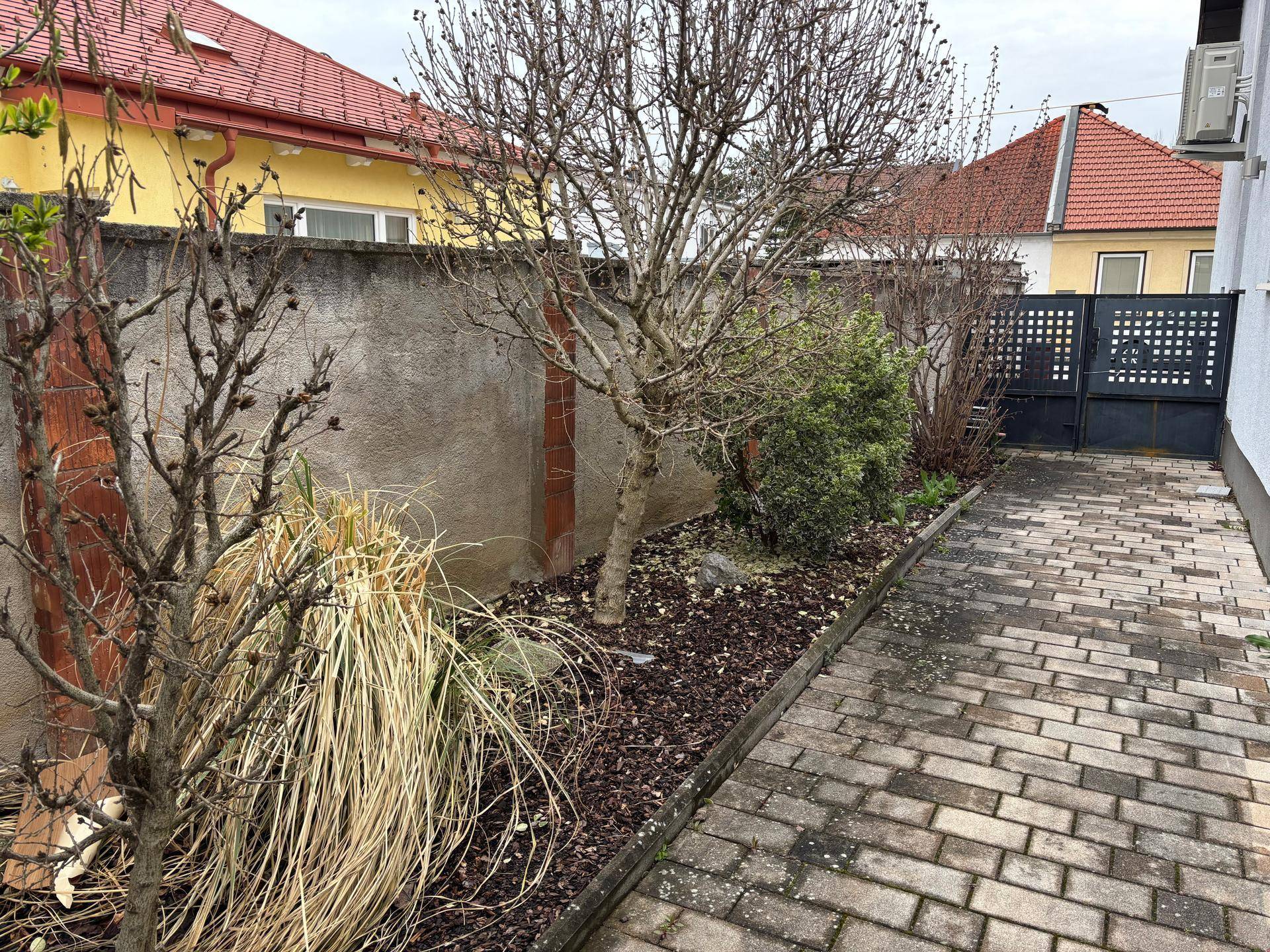 Seitenbereich des Gartens mit gepflastertem Weg und verschiedenen Pflanzen.