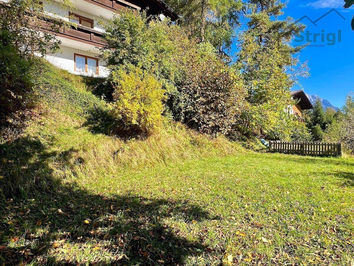 Grüner, leicht abfallender Gartenbereich mit Bäumen und Sträuchern vor dem Haus.
