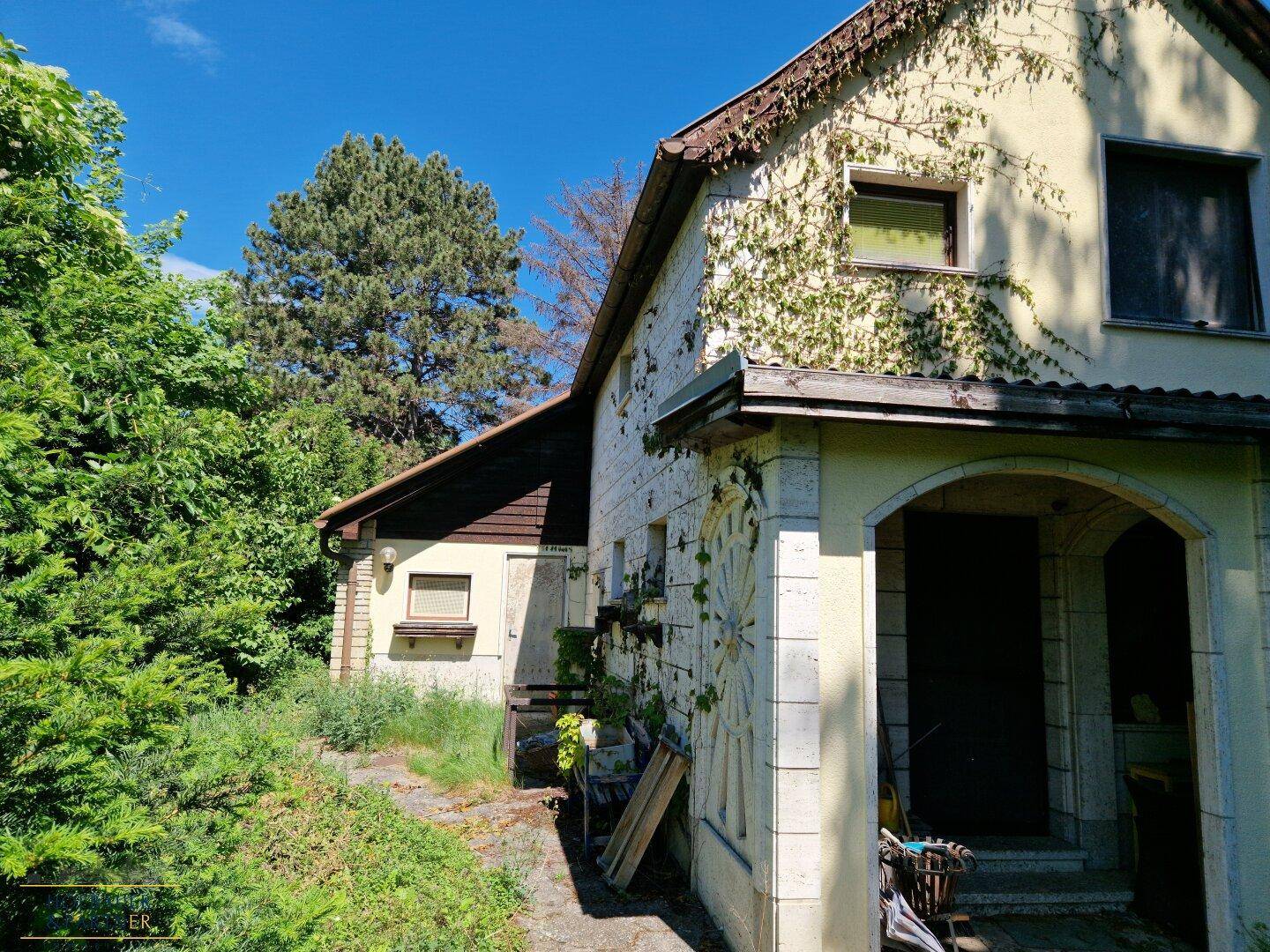 Seitenansicht des Hauses mit üppiger Vegetation und Blick auf den Gartenbereich.