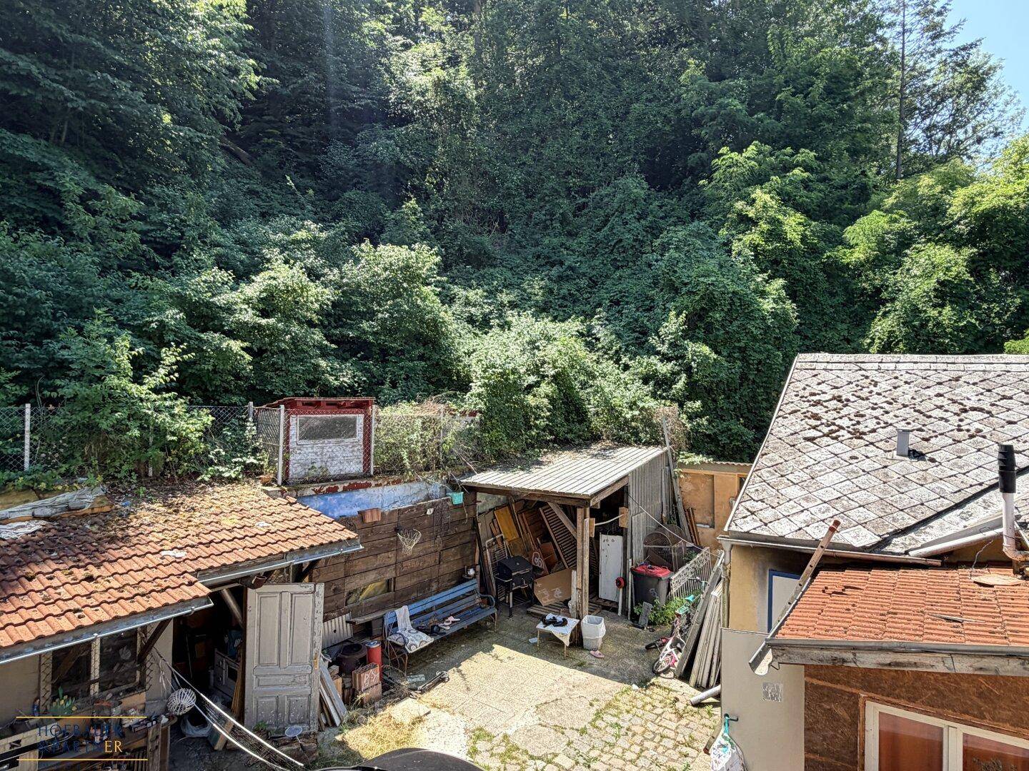 Blick auf den grünen Innenhof mit üppiger Vegetation und kleinen Nebengebäuden.