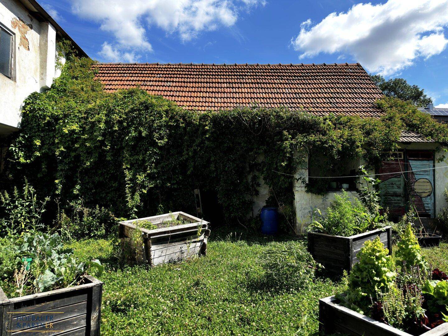 Kleines, von Efeu bewachsenes Nebengebäude mit rotem Ziegeldach und Hochbeeten im naturnahen Garten.