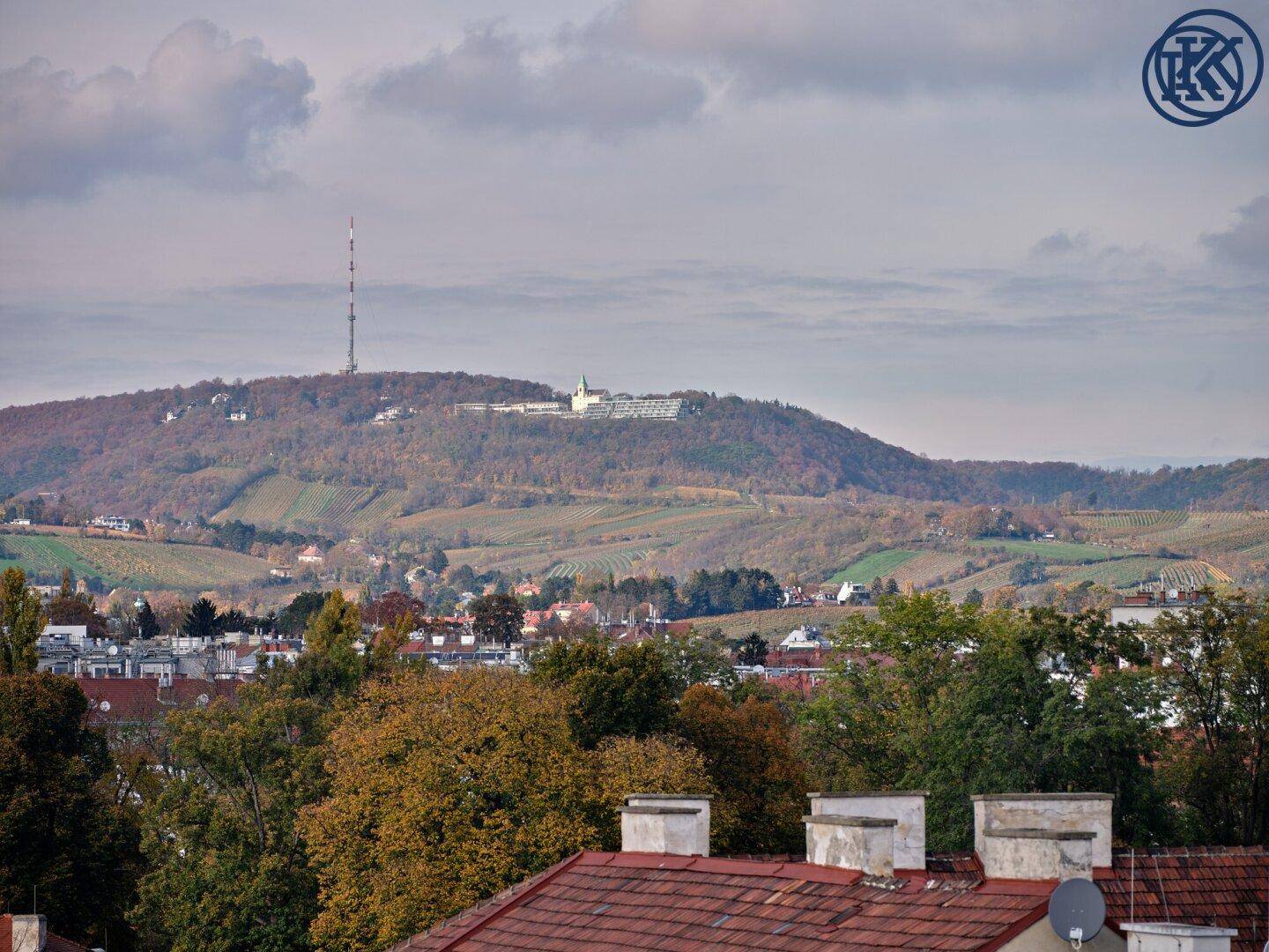 Malerischer Blick auf eine bewaldete Hügellandschaft mit Weinbergen und Gebäuden in der Ferne.