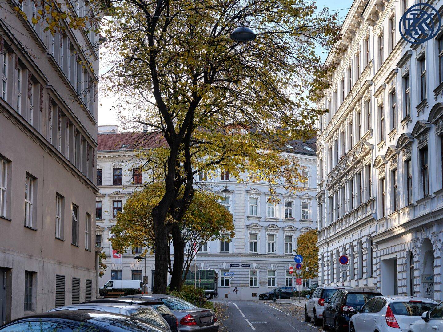 Ruhige Stadtstraße mit geparkten Autos, herbstlichen Bäumen und historischen Gebäuden.