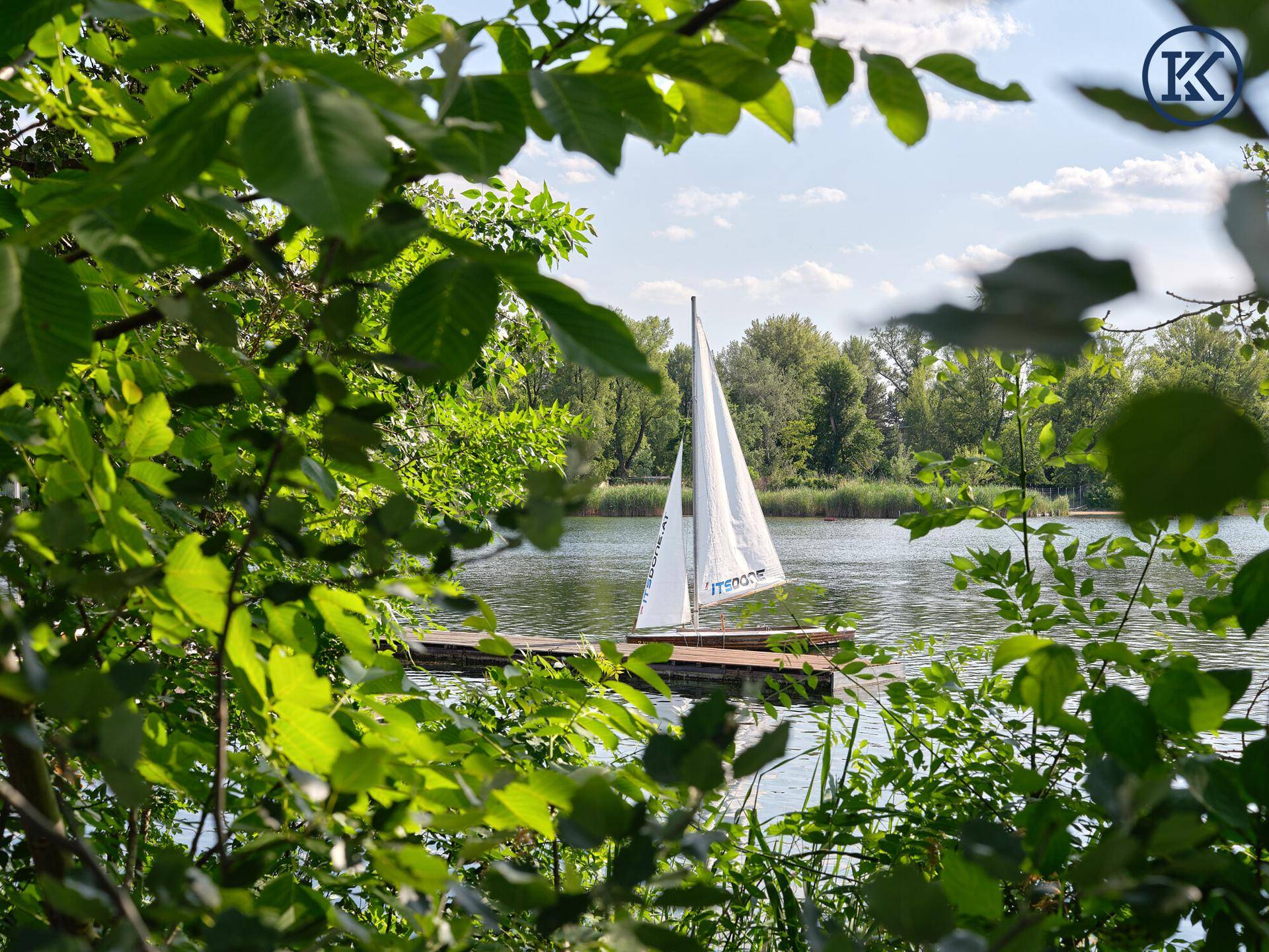 Segelboot auf dem See, umgeben von dichtem grünen Laub und einem sonnigen Himmel.