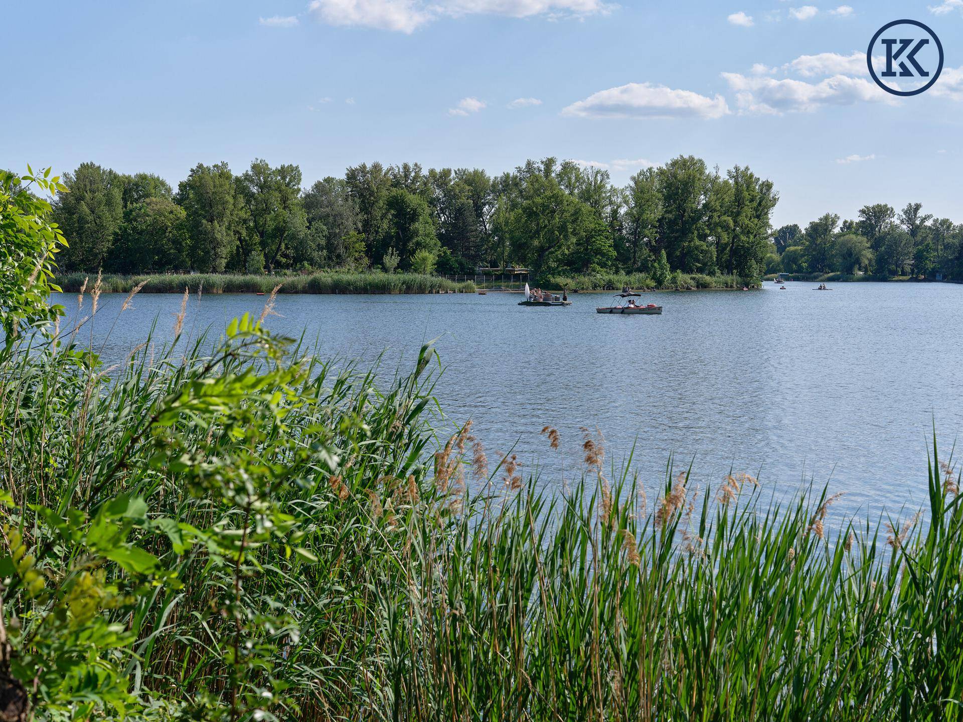 Ruhiger Blick über den See mit Schilf im Vordergrund und Bäumen am gegenüberliegenden Ufer.