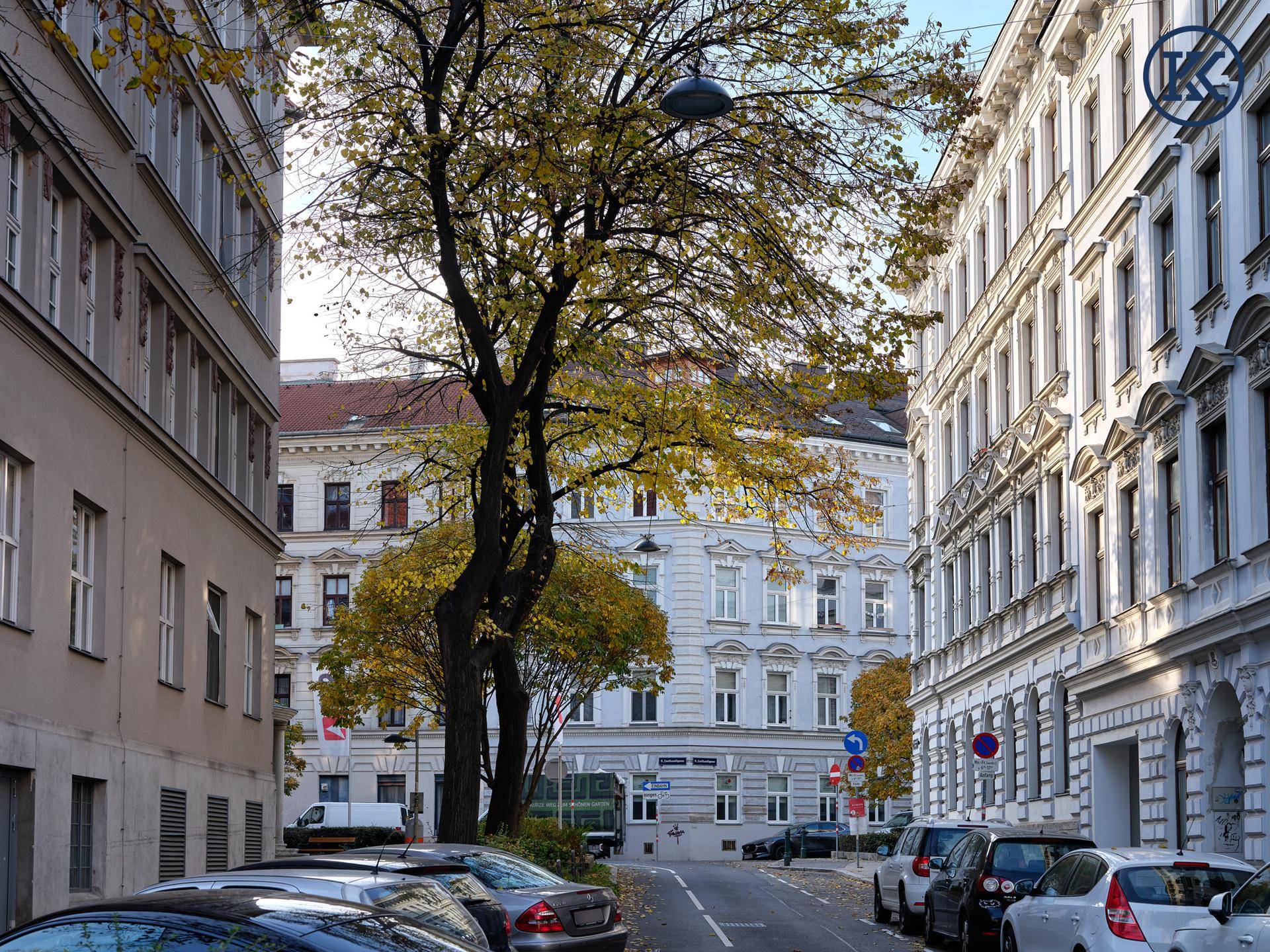 Ruhige Seitenstraße mit geparkten Autos, Bäumen und traditionellen Wohngebäuden.