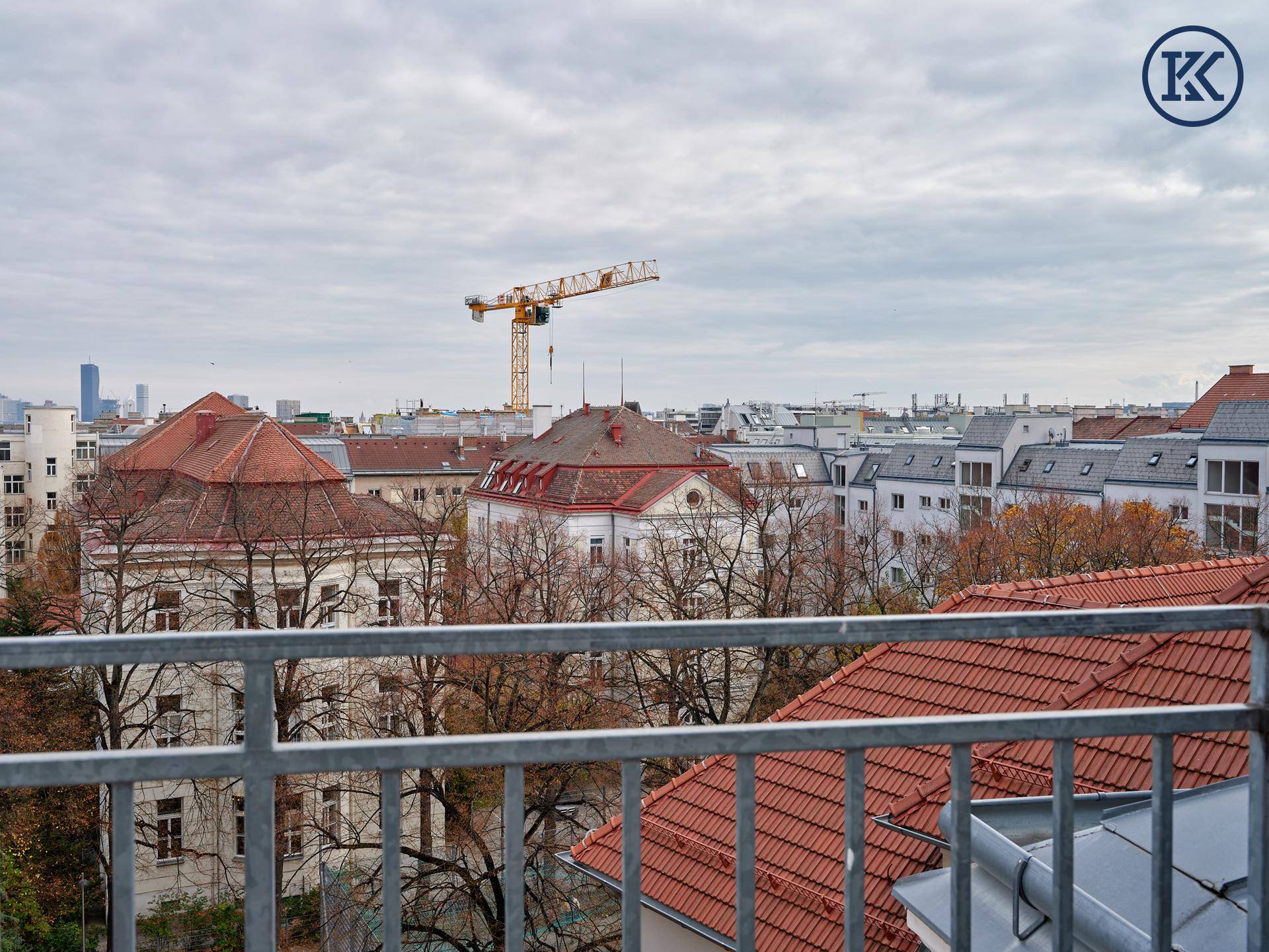 Weitblick über die Dächer der Stadt mit historischen Gebäuden und einem Baukran am Horizont.