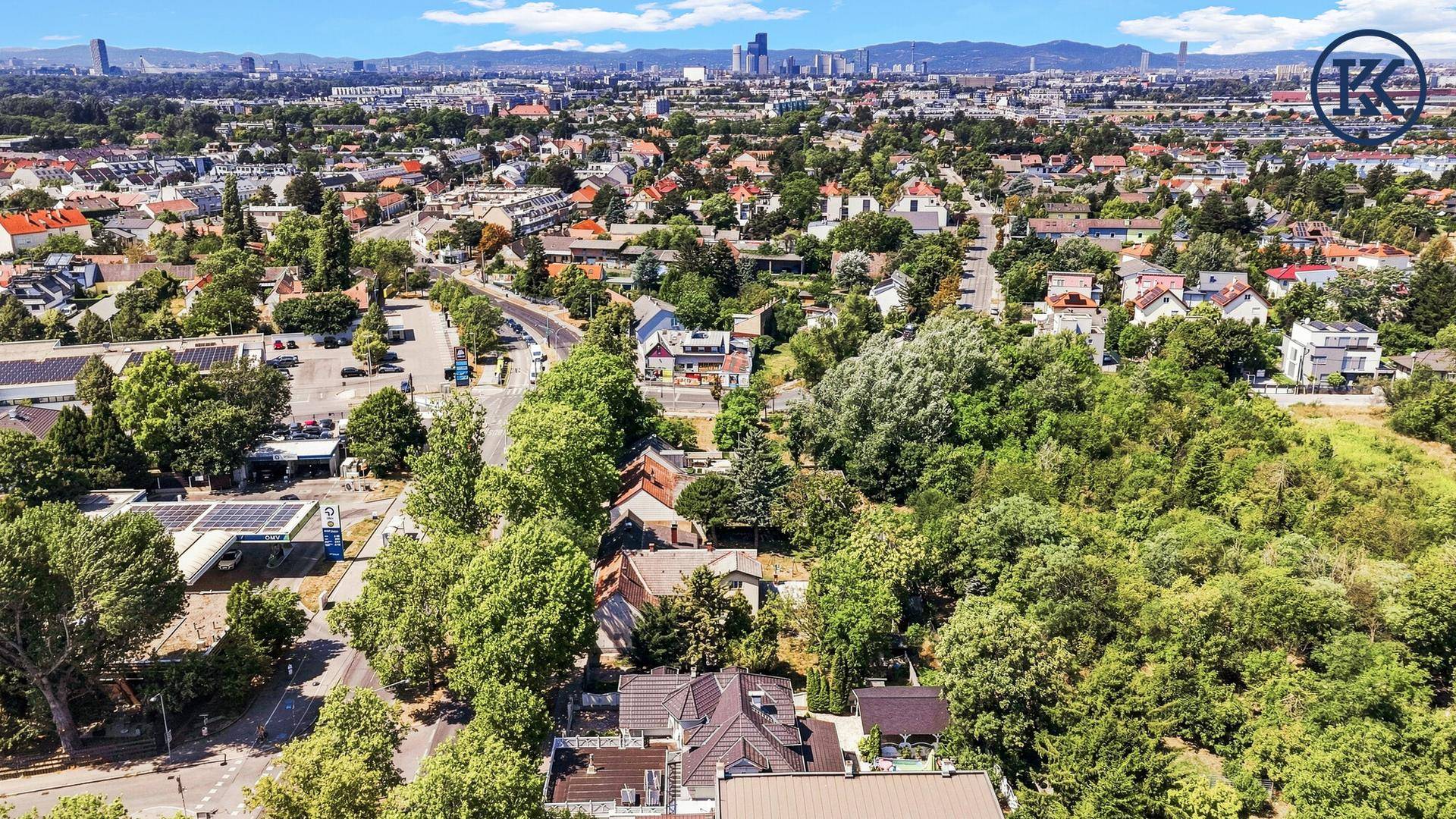 Panoramablick aus der Luft auf die Wohngegend mit Stadtsilhouette am Horizont und viel Grün.