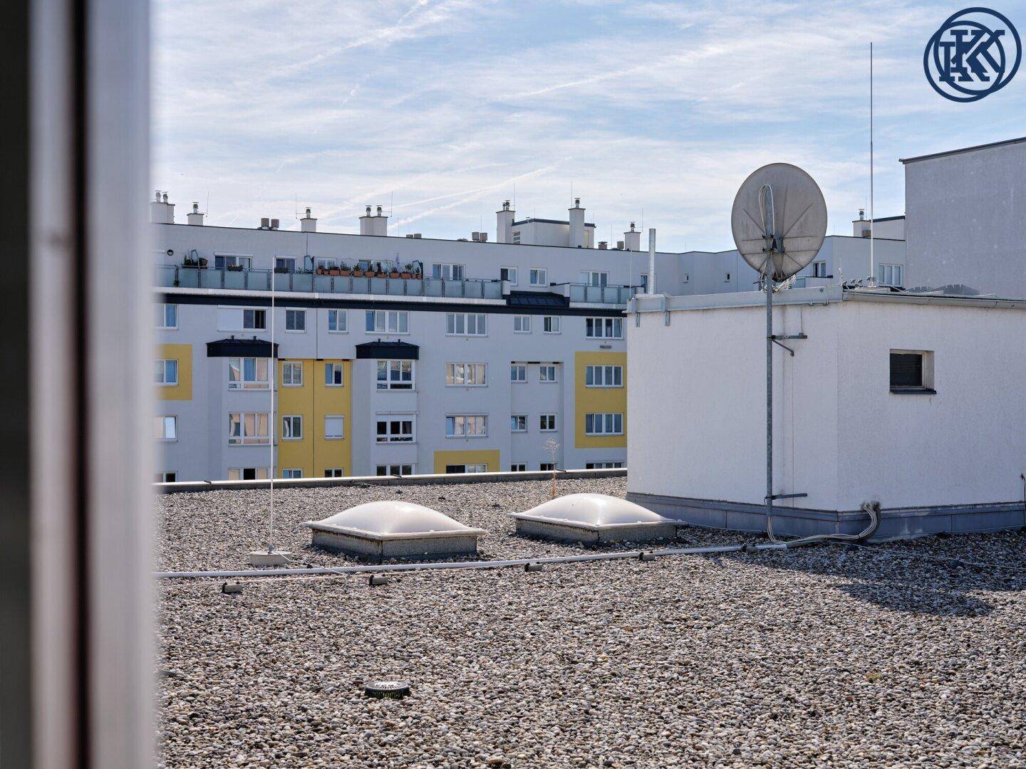 Blick auf Flachdächer mit Oberlichtern und Satellitenschüssel, umgeben von Wohngebäuden unter blauem Himmel.