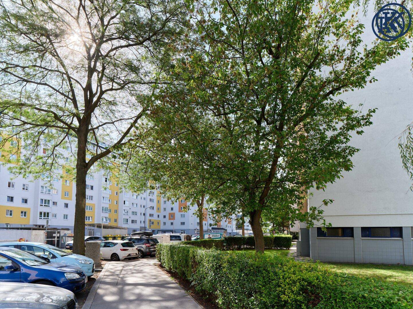 Sonnige Ansicht von Wohngebäuden mit Bäumen, einer Hecke und geparkten Autos auf einem Parkplatz.