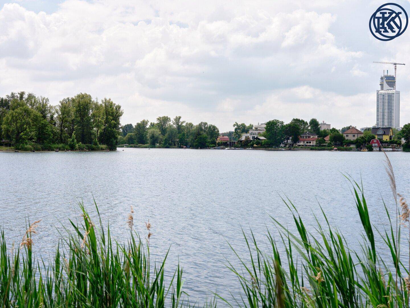 Weitläufiger Seeblick mit Schilf im Vordergrund und einem Hochhaus in der Ferne.