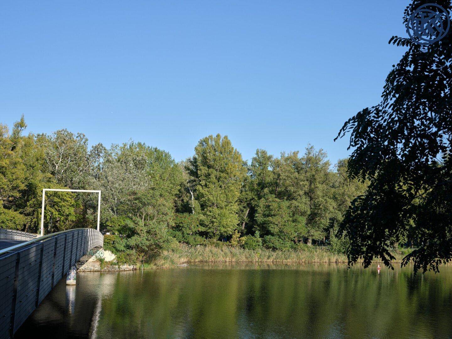 Eine Brücke überspannt ein ruhiges Gewässer, umgeben von dichtem Grün und Bäumen.