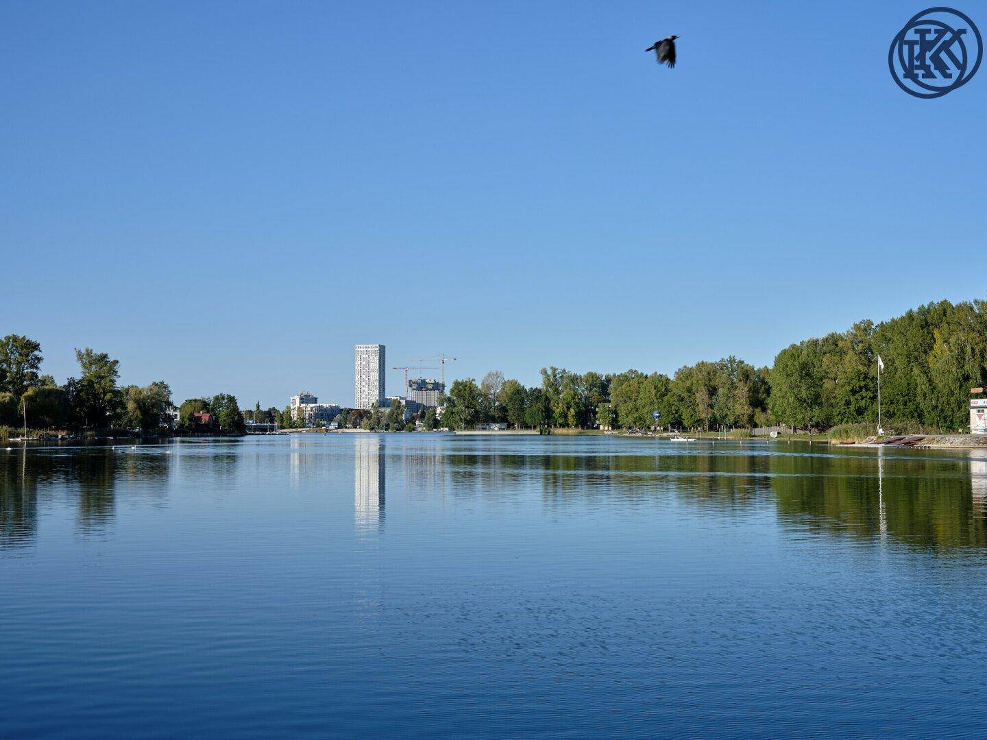 Weitläufiger Blick über den See mit Stadtpanorama in der Ferne und einem Vogel am Himmel.