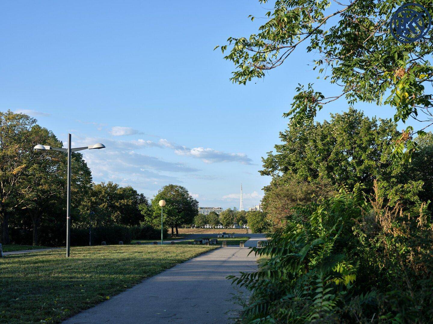 Sonniger Parkweg umgeben von Bäumen und Grünflächen an einem klaren Tag.
