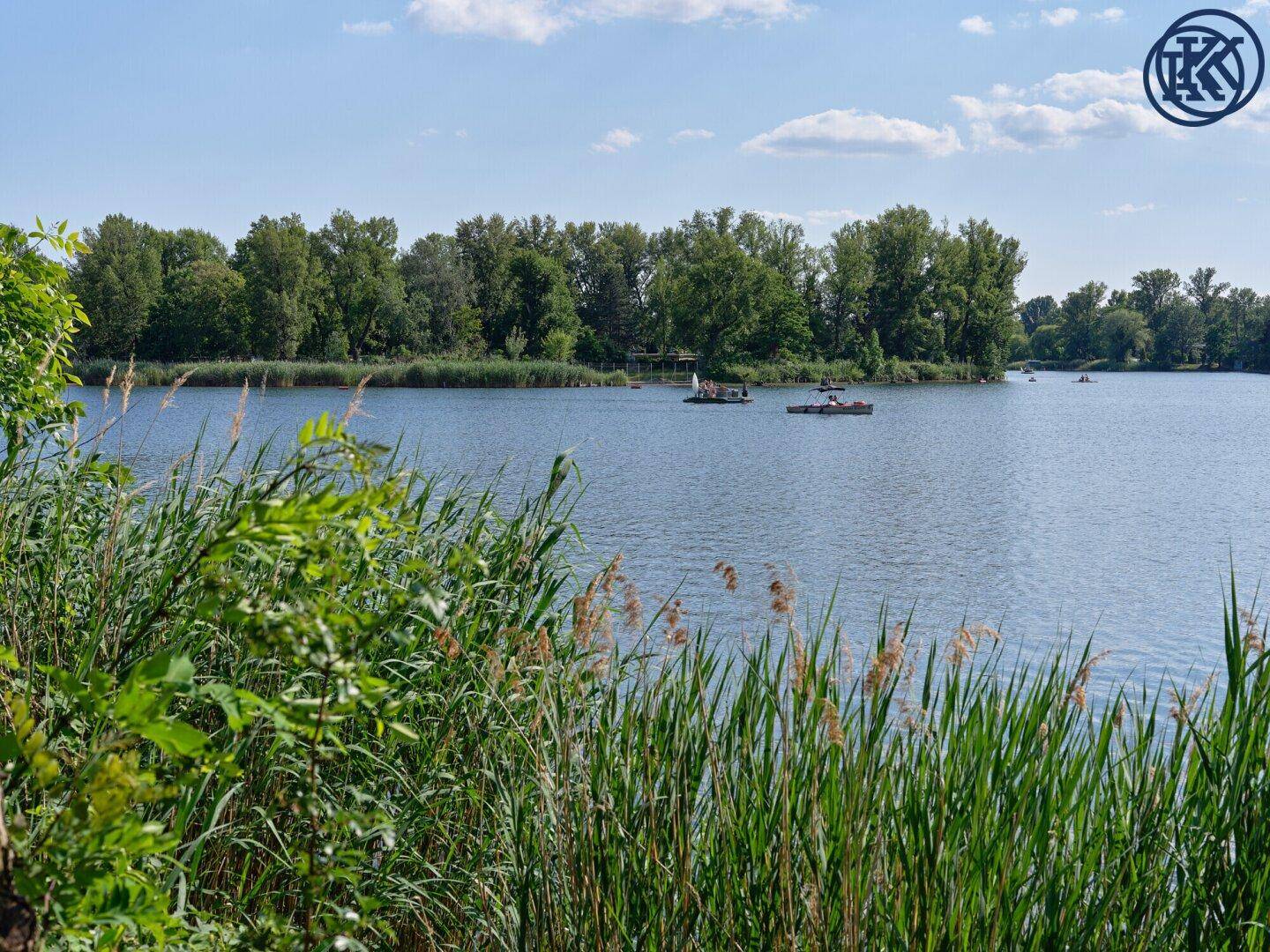 Ruhiger Seeblick mit Schilf im Vordergrund und bewaldetem Ufer unter blauem Himmel.