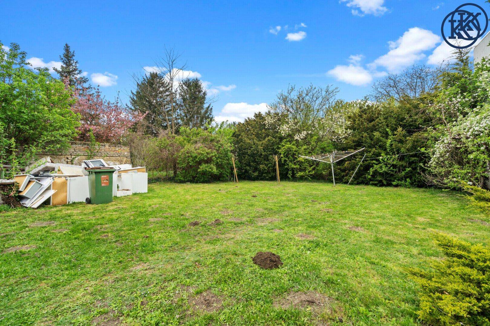 Großer Gartenbereich mit Rasenfläche und einigen Sträuchern, teilweise unaufgeräumt.