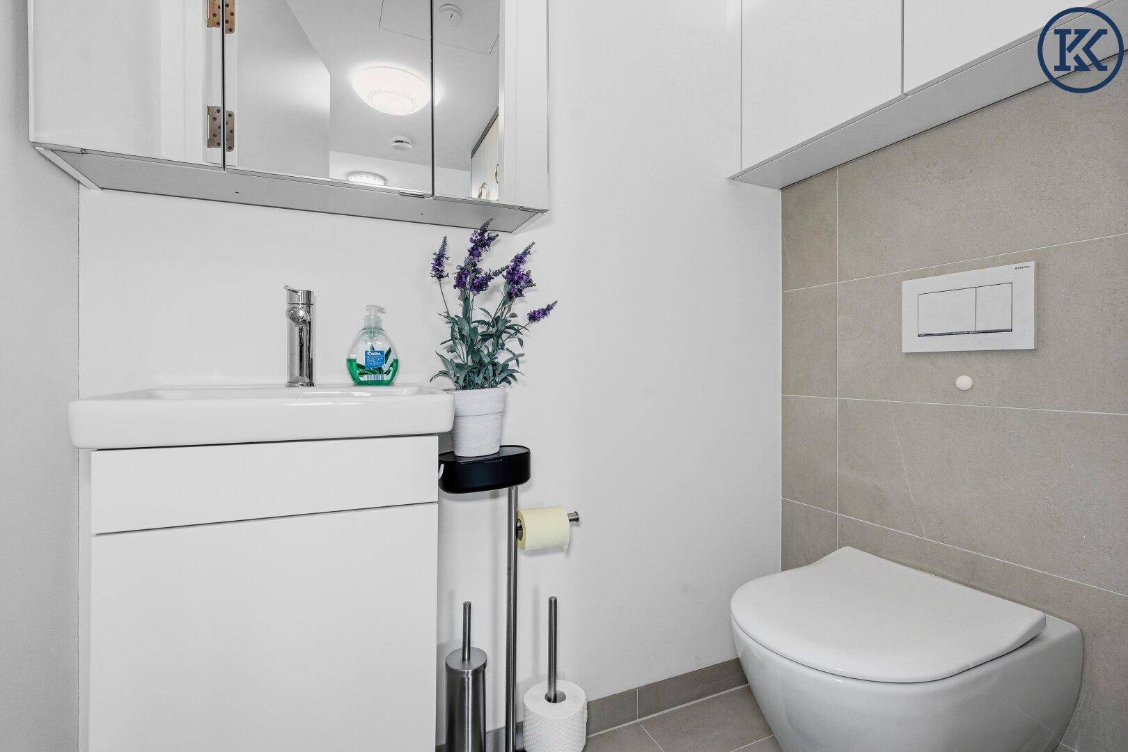 Modernes Gäste-WC mit wandhängender Toilette, kleinem Waschbecken und Spiegelschrank.