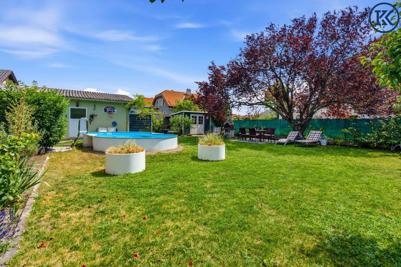 Sonnige Rasenfläche im Garten mit Pool, Gartenhaus und schattenspendenden Bäumen.