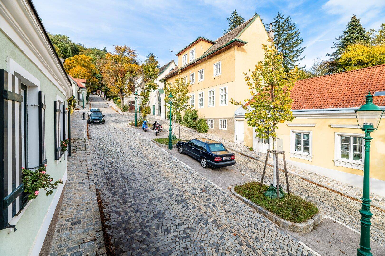 Malerische Kopfsteinpflasterstraße mit historischen Gebäuden und Bäumen in einer ruhigen Wohngegend.