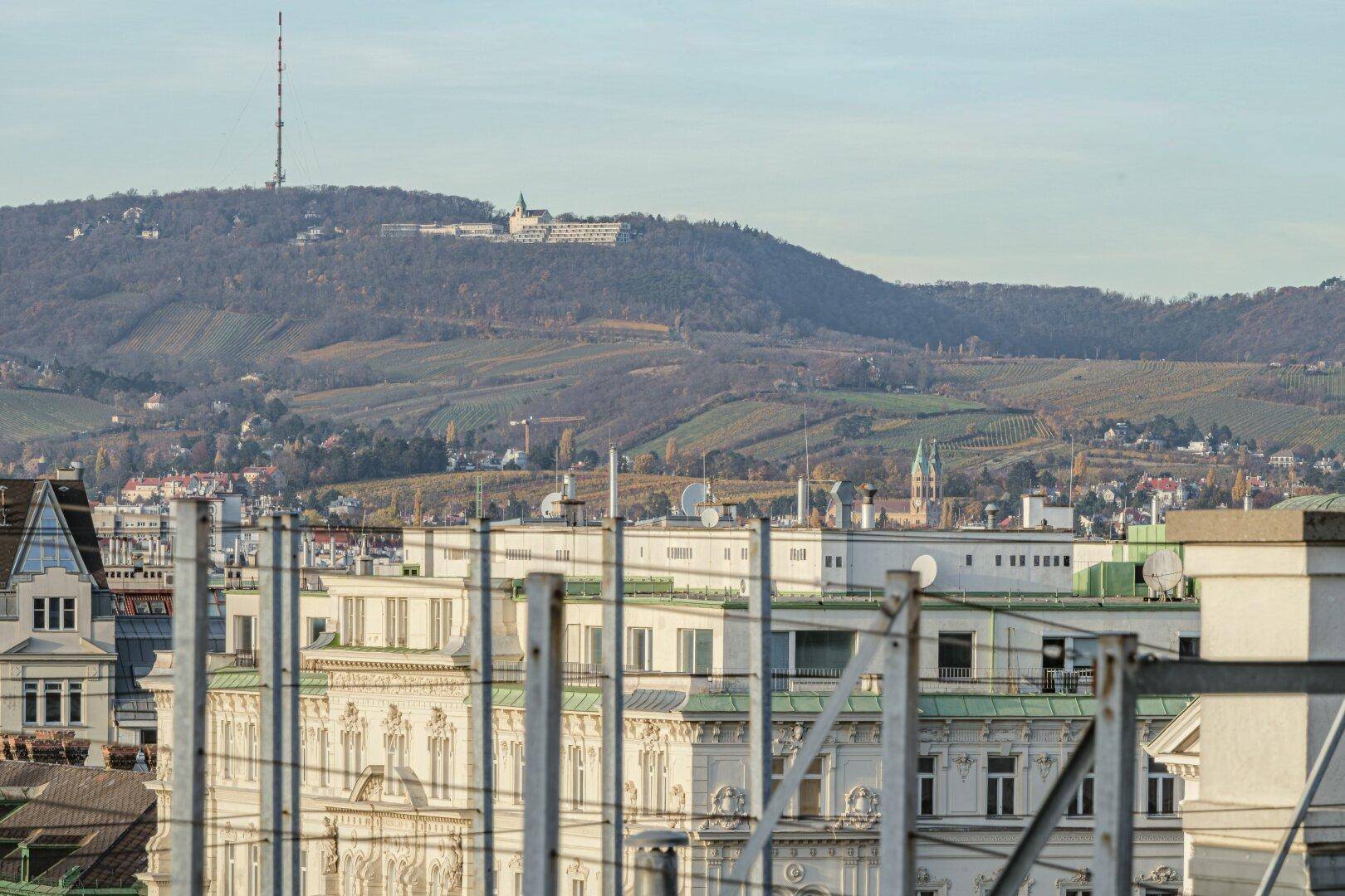 Weitblick auf eine bewaldete Berglandschaft mit Gebäuden über den Dächern der Stadt.