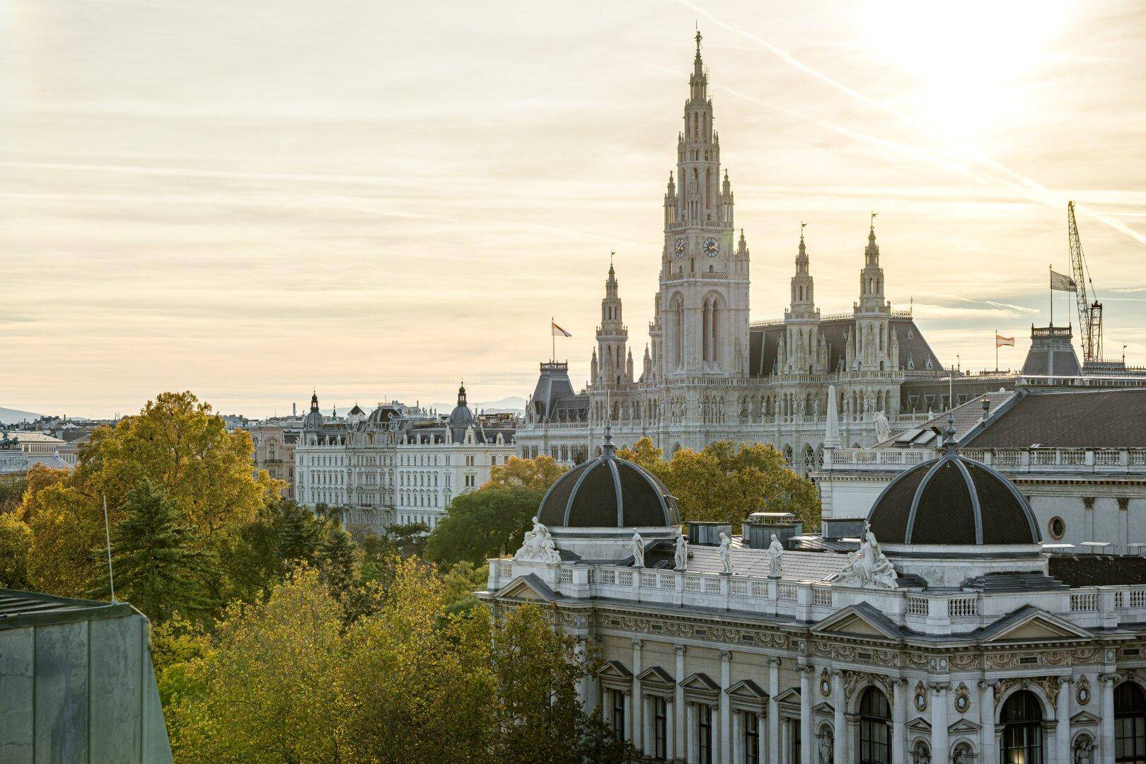 Panoramablick auf die historische Stadtkulisse mit dem Wiener Rathaus und herbstlichen Bäumen bei Sonnenuntergang.