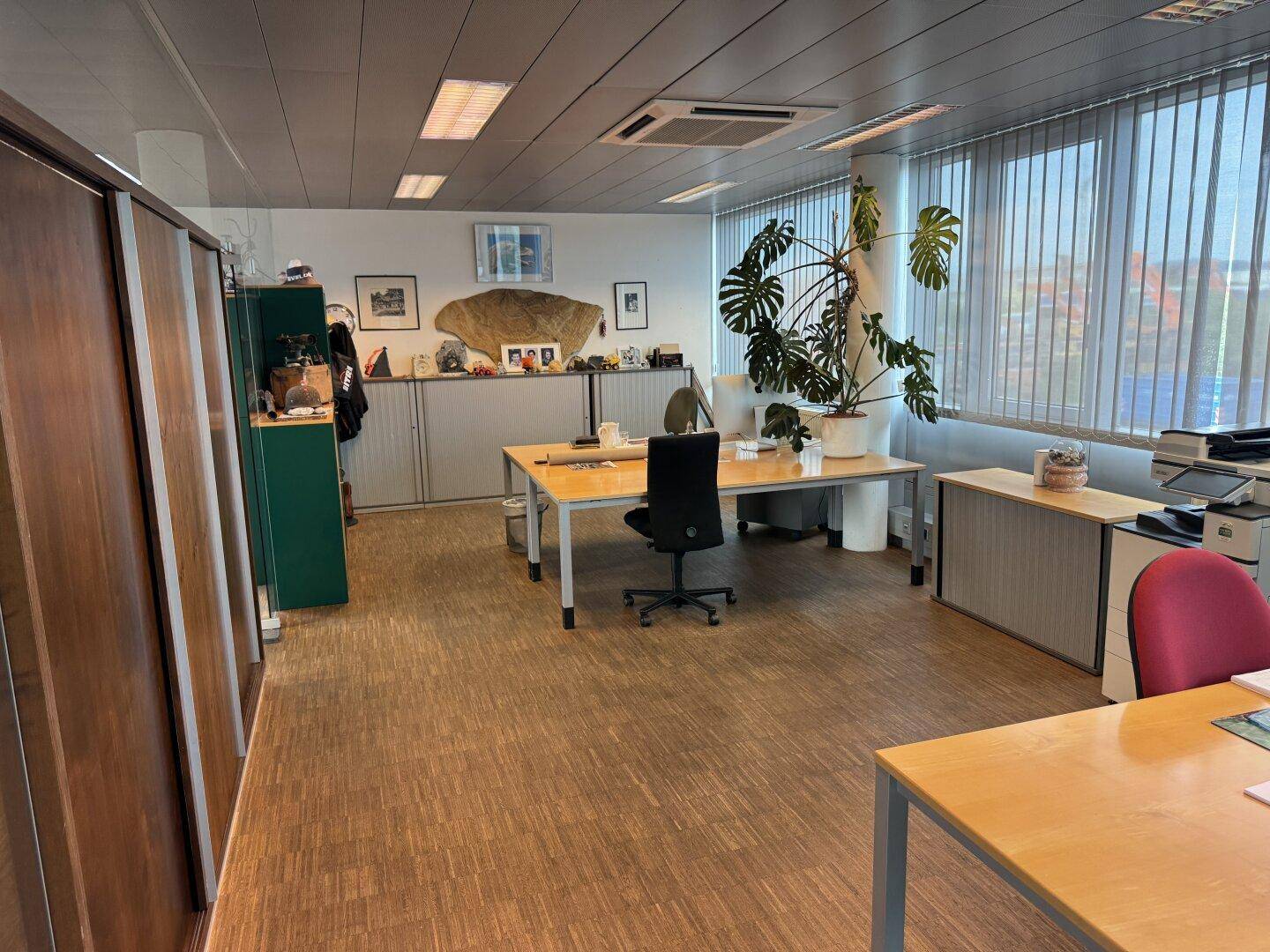 Großraumbüro mit mehreren Arbeitsplätzen, Pflanzen, Stauraum und großen Fenstern mit Jalousien.