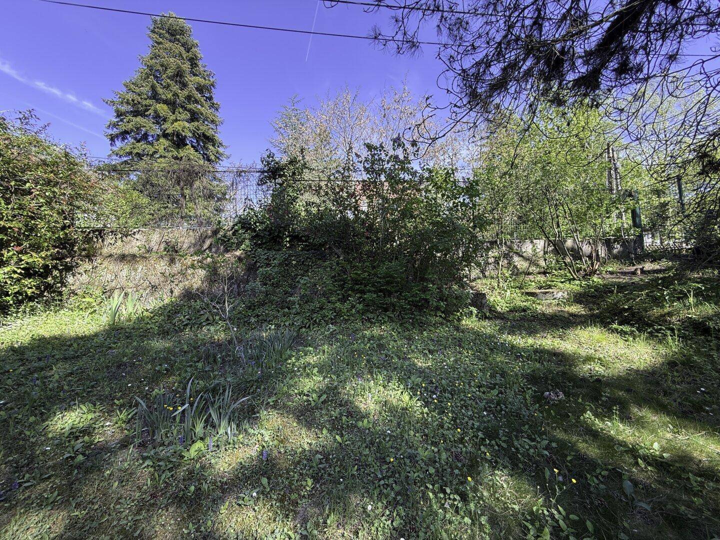 Grüne Gartenfläche mit Sträuchern und einem Zaun im Hintergrund, unter blauem Himmel.