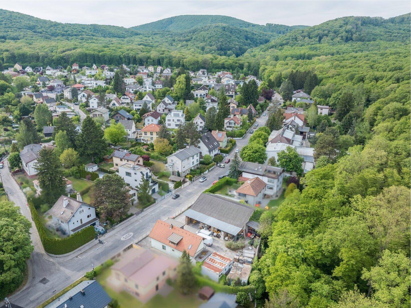 Panoramablick aus der Luft auf ein Wohnviertel mit vielen Häusern und angrenzendem Waldgebiet.